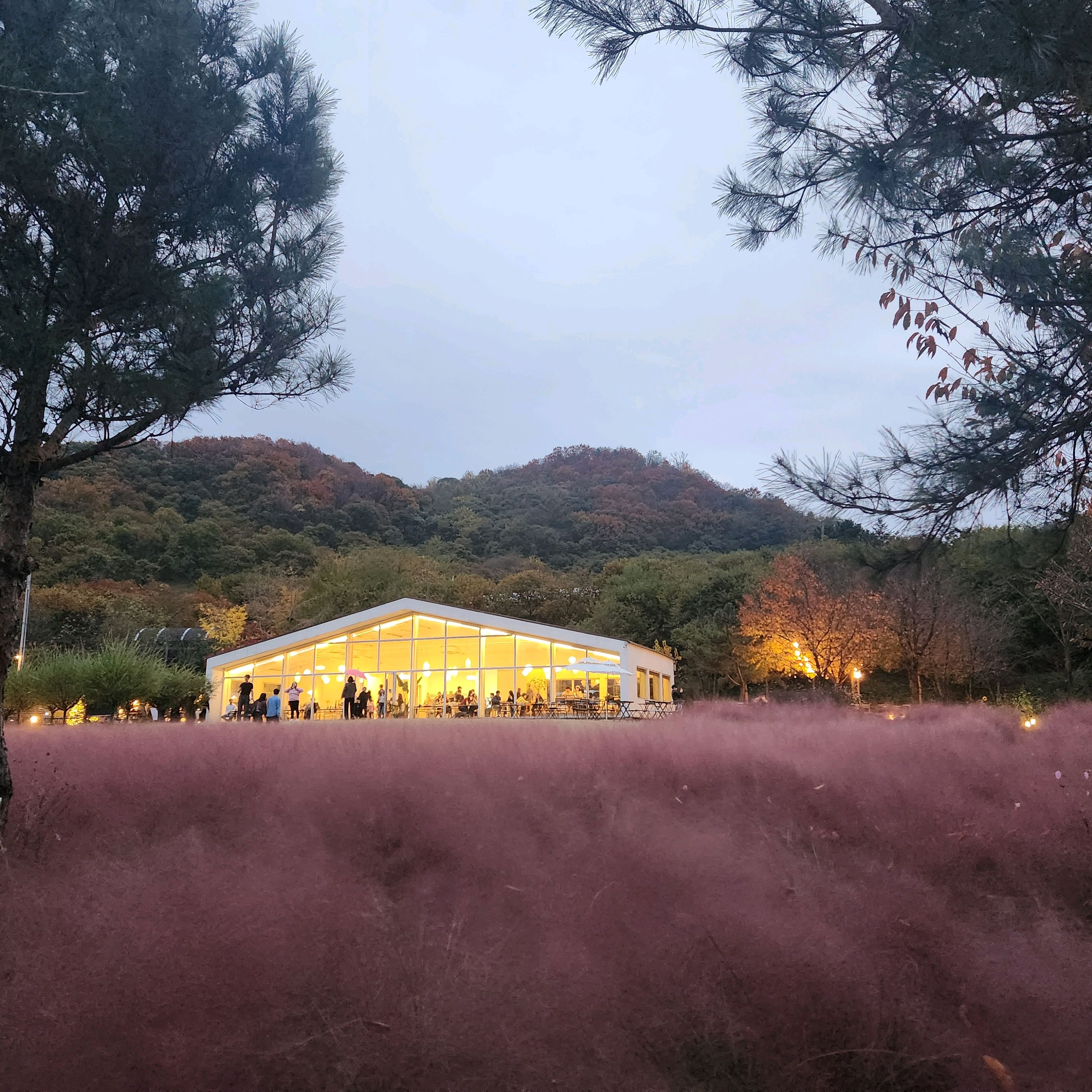 [천안 맛집 이숲] 직접 가본 로컬 리뷰