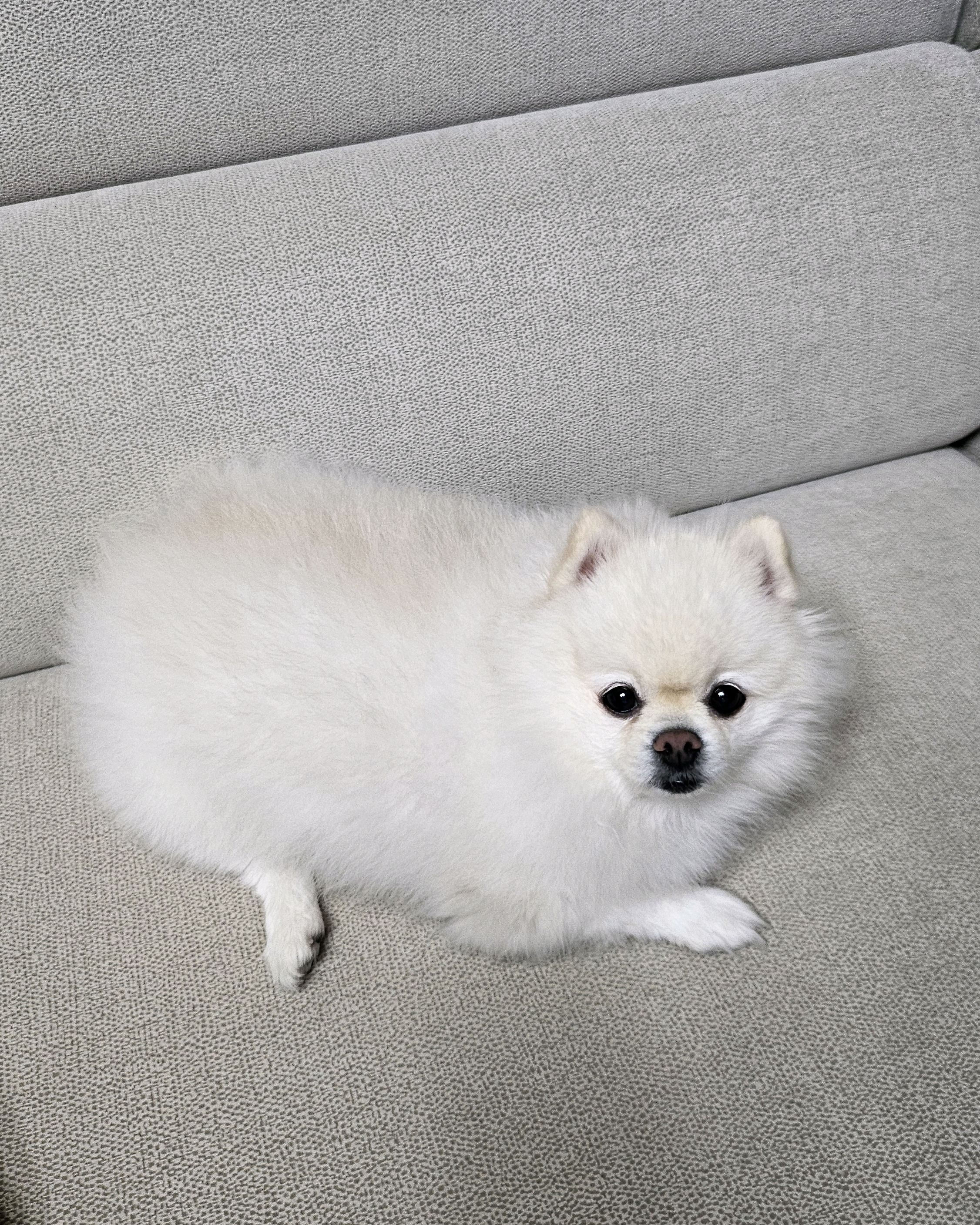 리뷰 사진 1