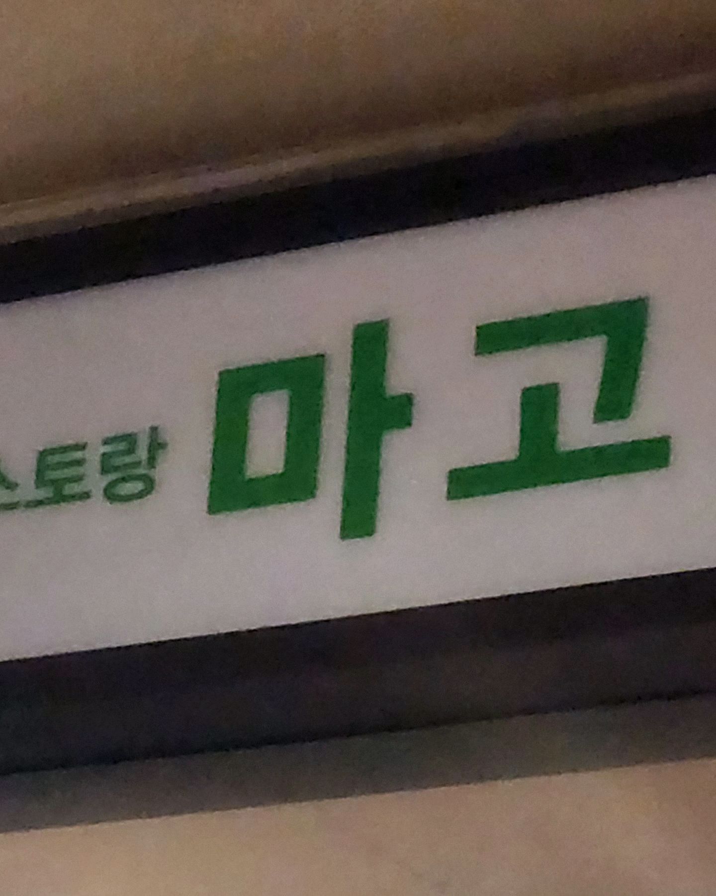 정자역 맛집 레스토랑 마고 내돈내산 방문후기