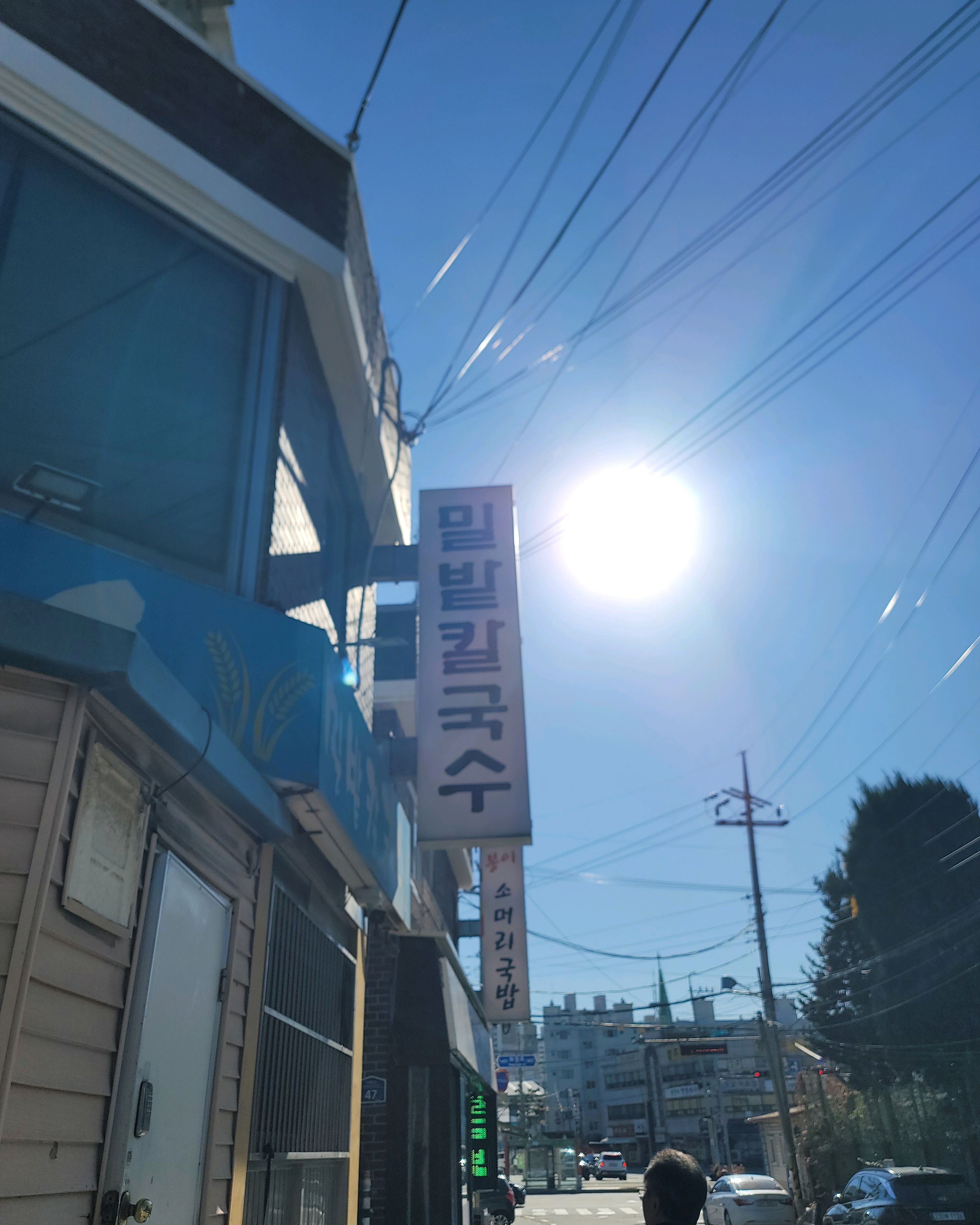  덕정역 맛집 밀밭칼국수
