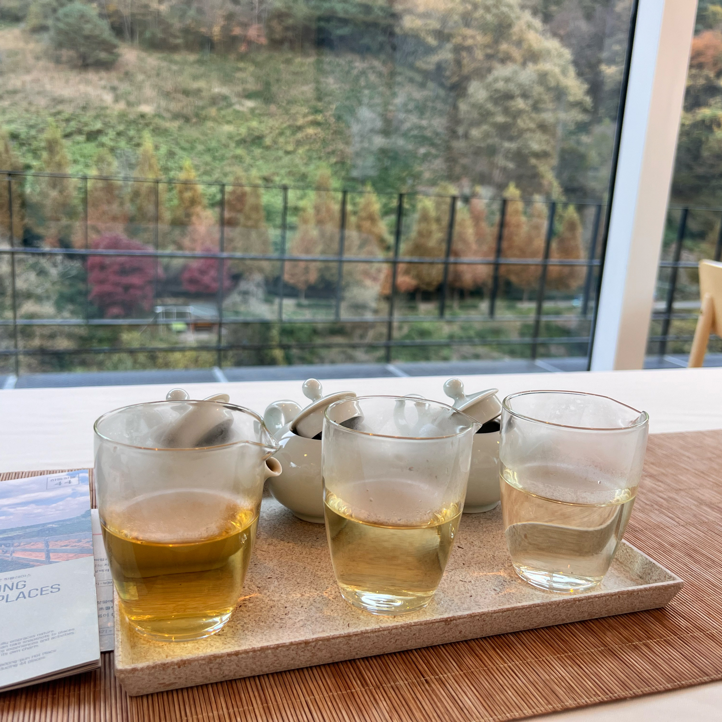 [하동 맛집 옥선명차] 직접 가본 로컬 리뷰