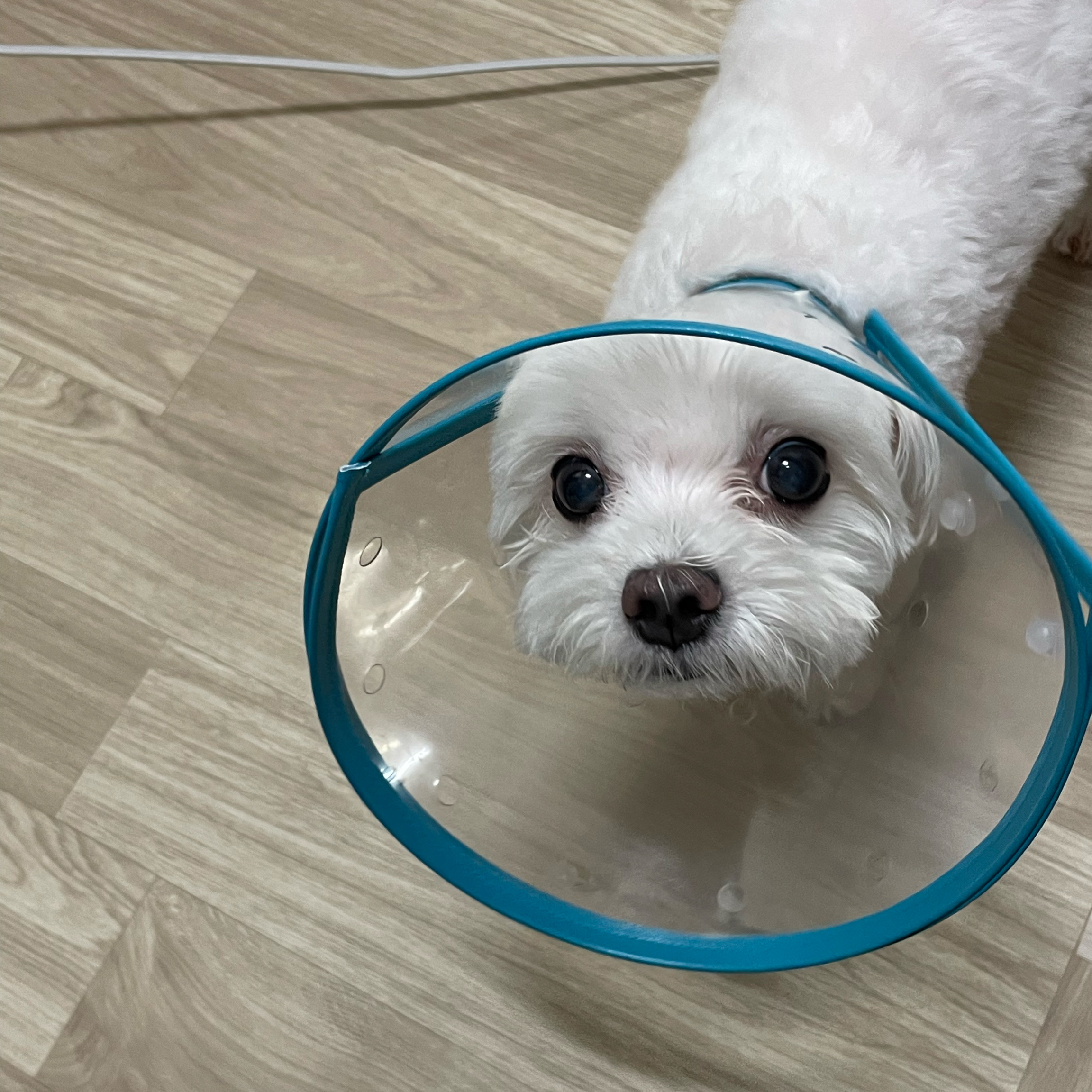 리뷰 사진 1
