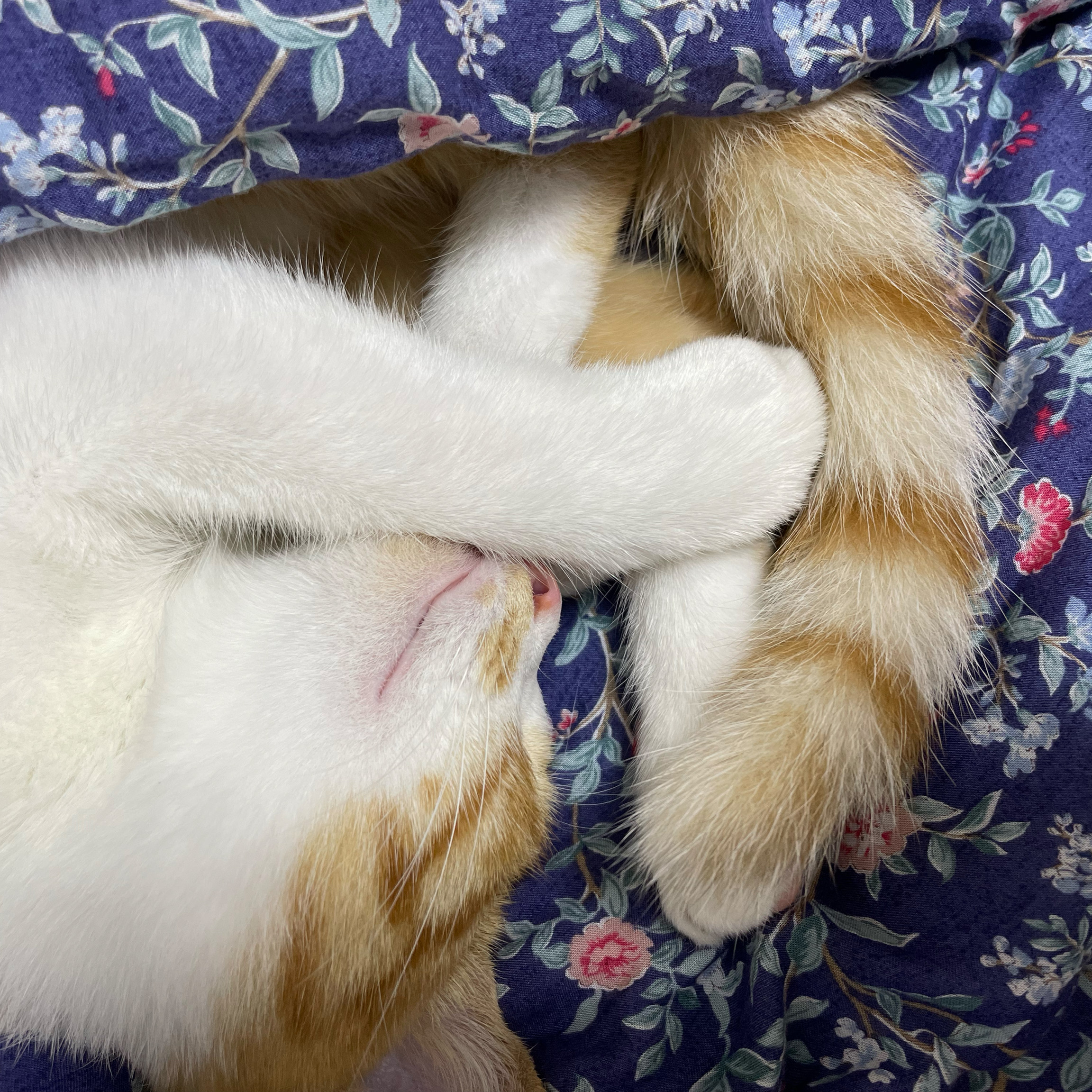 리뷰 사진 1