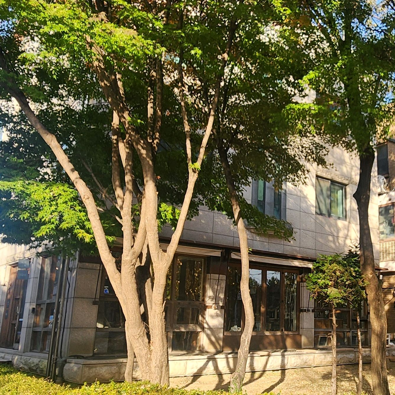 오리역 맛집 브림커피 내돈내산 방문리뷰