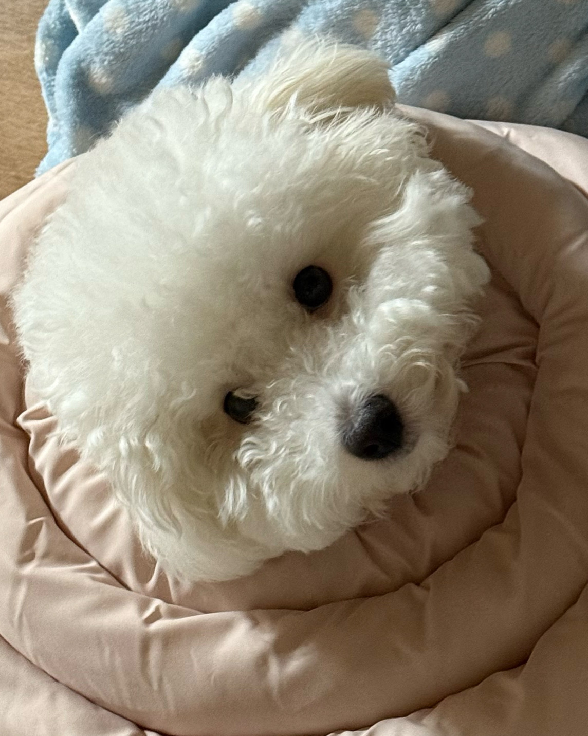 리뷰 사진 1