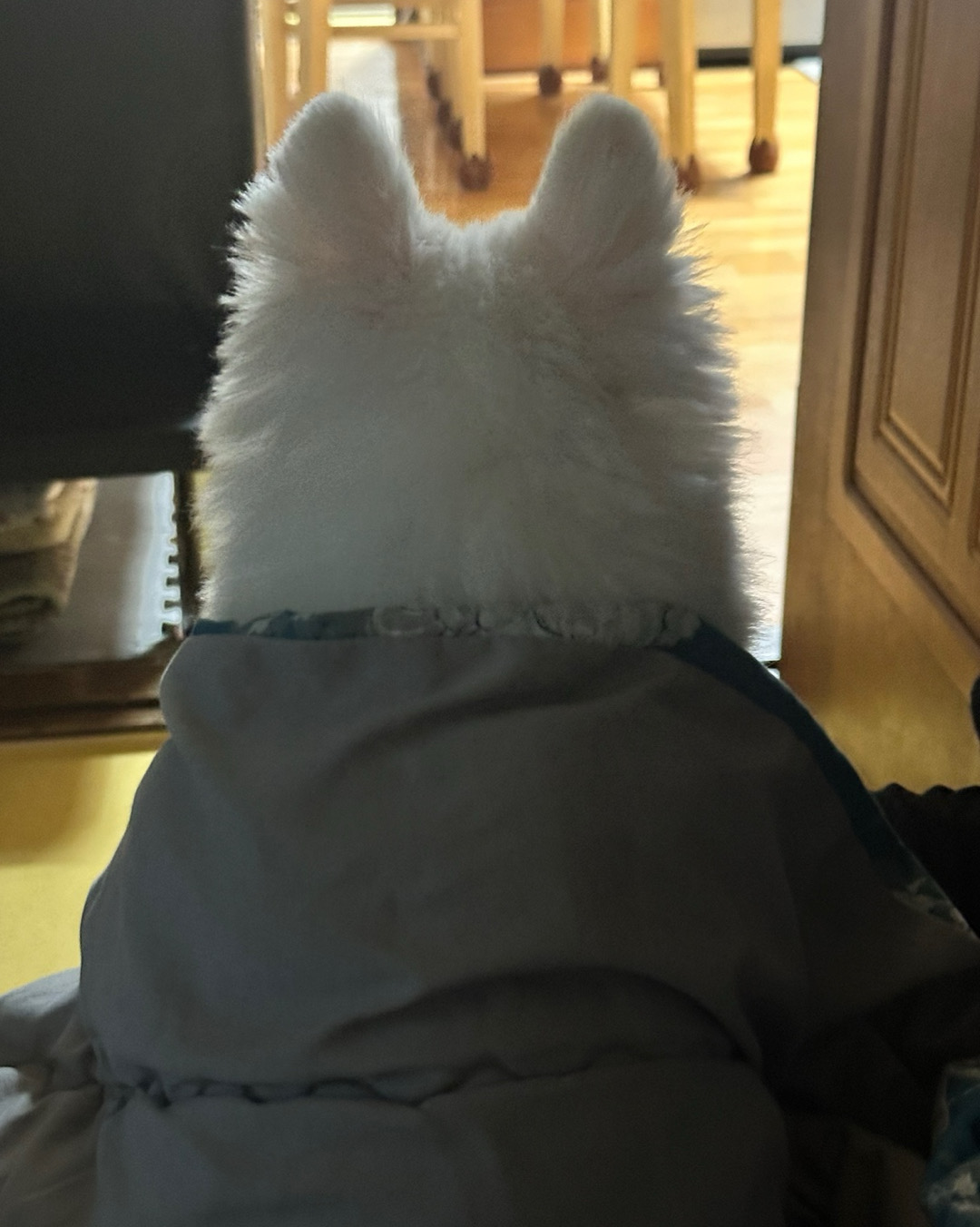 리뷰 사진 1