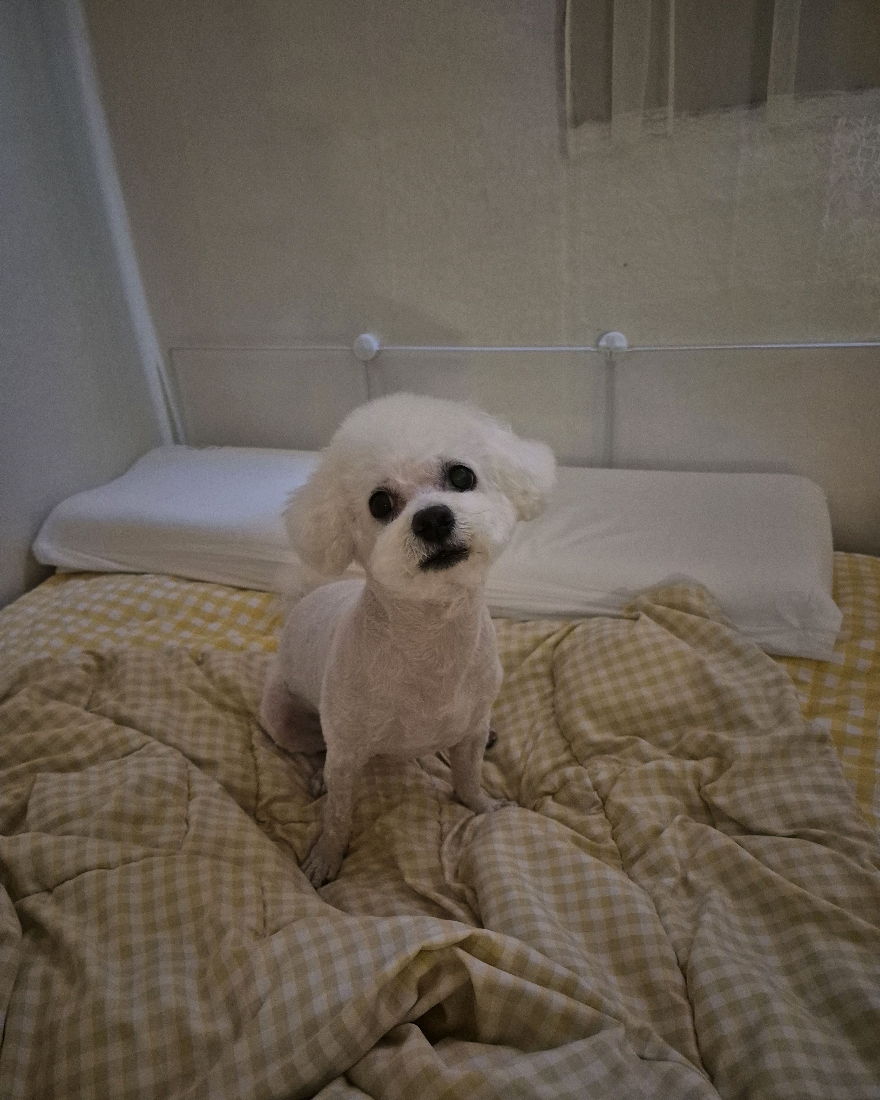 리뷰 사진 3