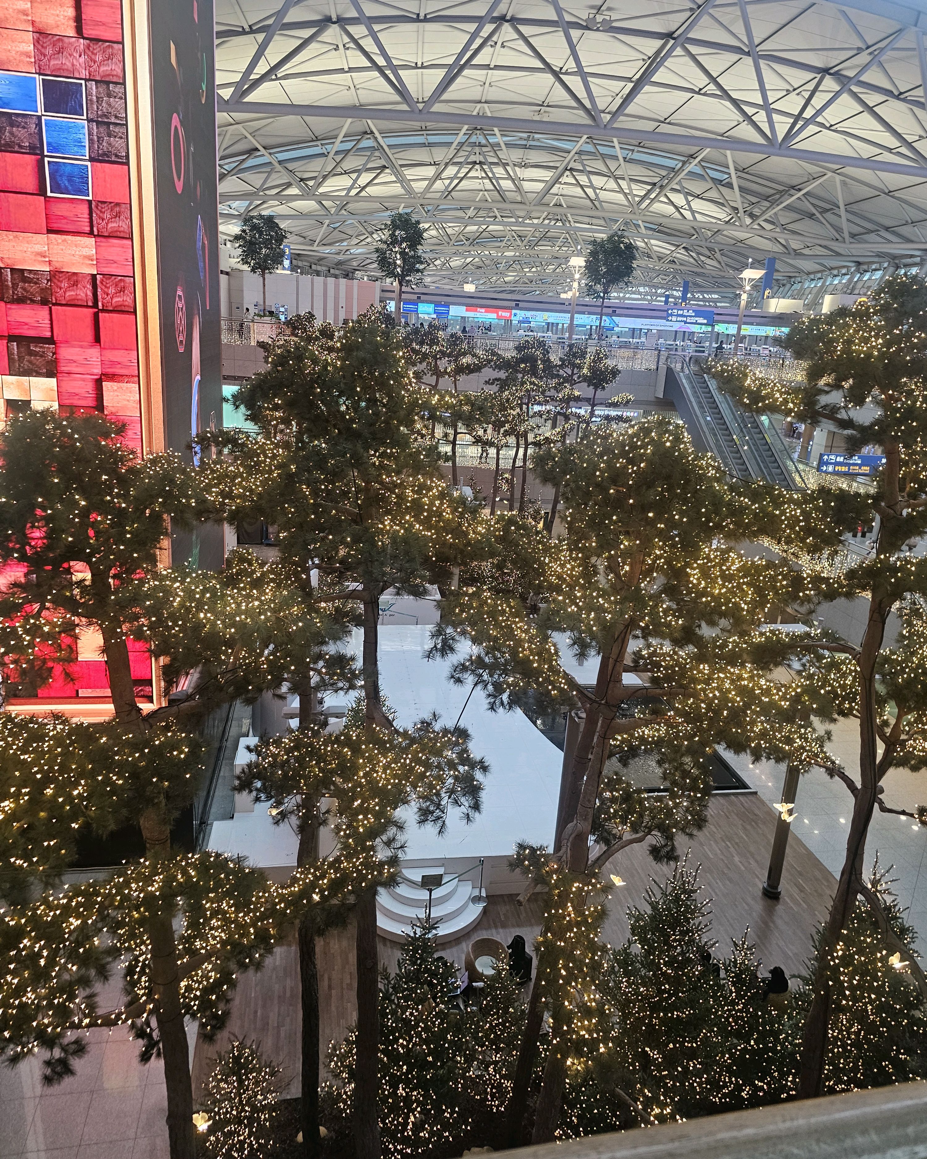 [인천공항 맛집 쉐이크쉑 인천공항 제1터미널점] 직접 가본 로컬 리뷰