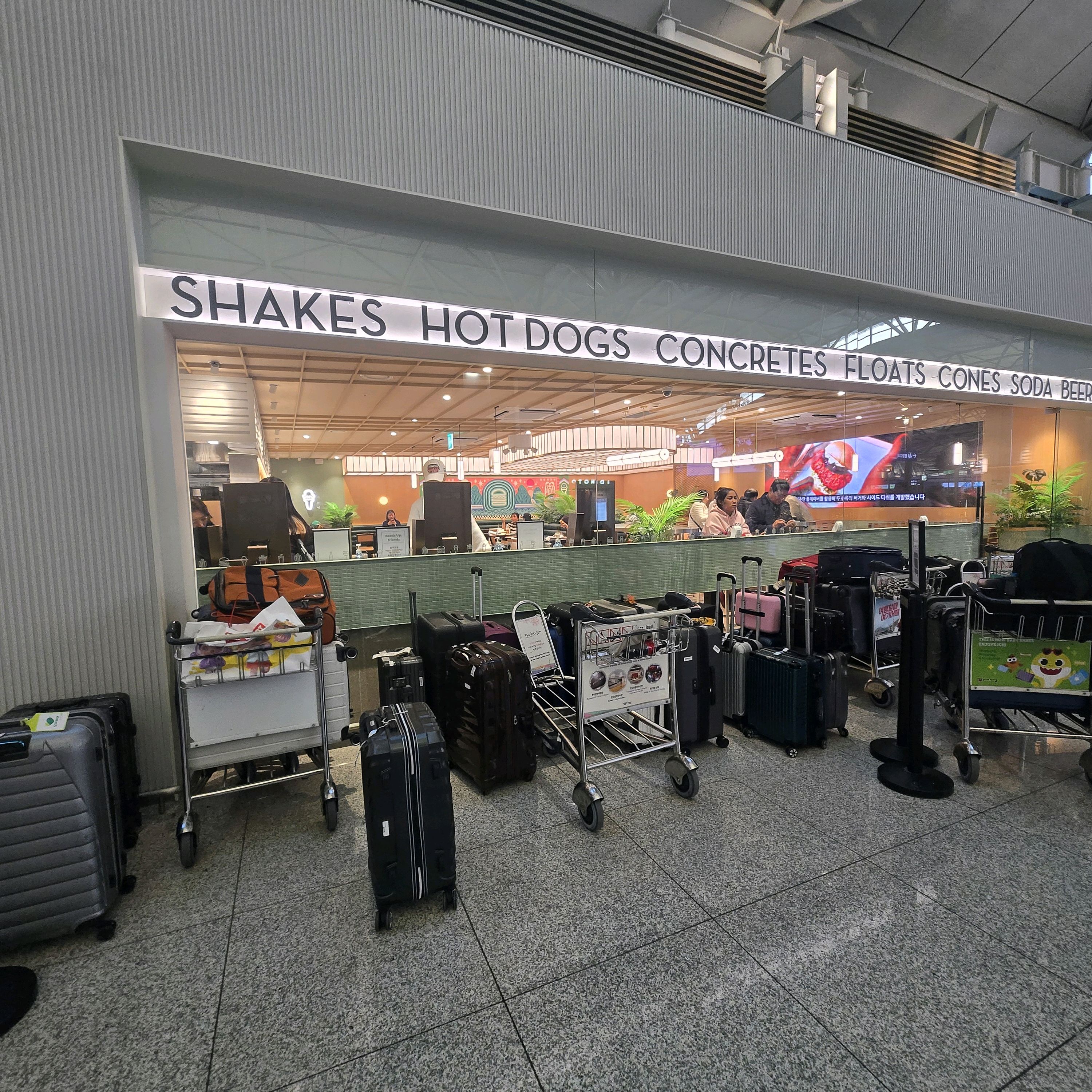 [인천공항 맛집 쉐이크쉑 인천공항 제1터미널점] 직접 가본 로컬 리뷰