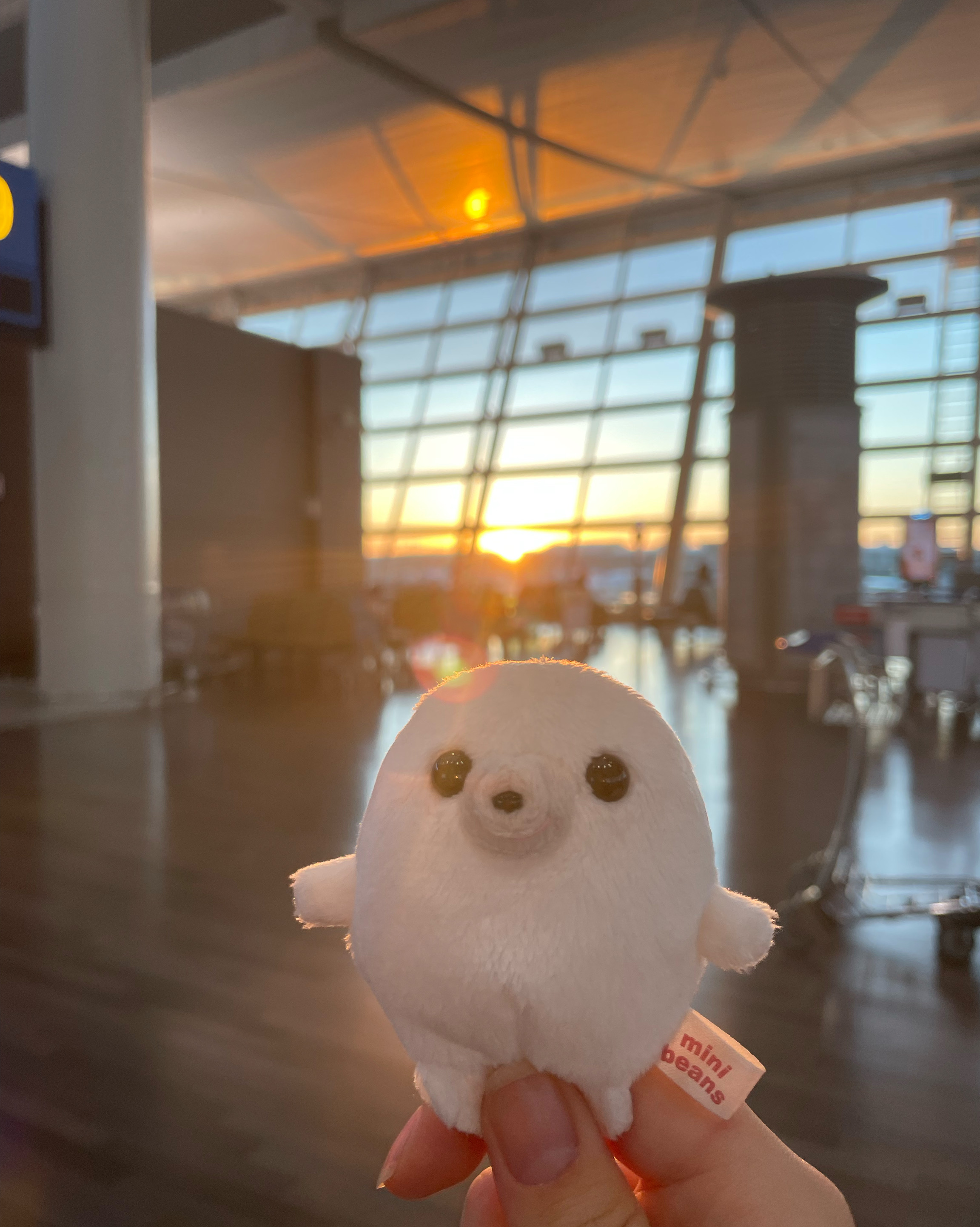[인천공항 맛집 커피빈 공항탑승동130gate앞점] 직접 가본 로컬 리뷰