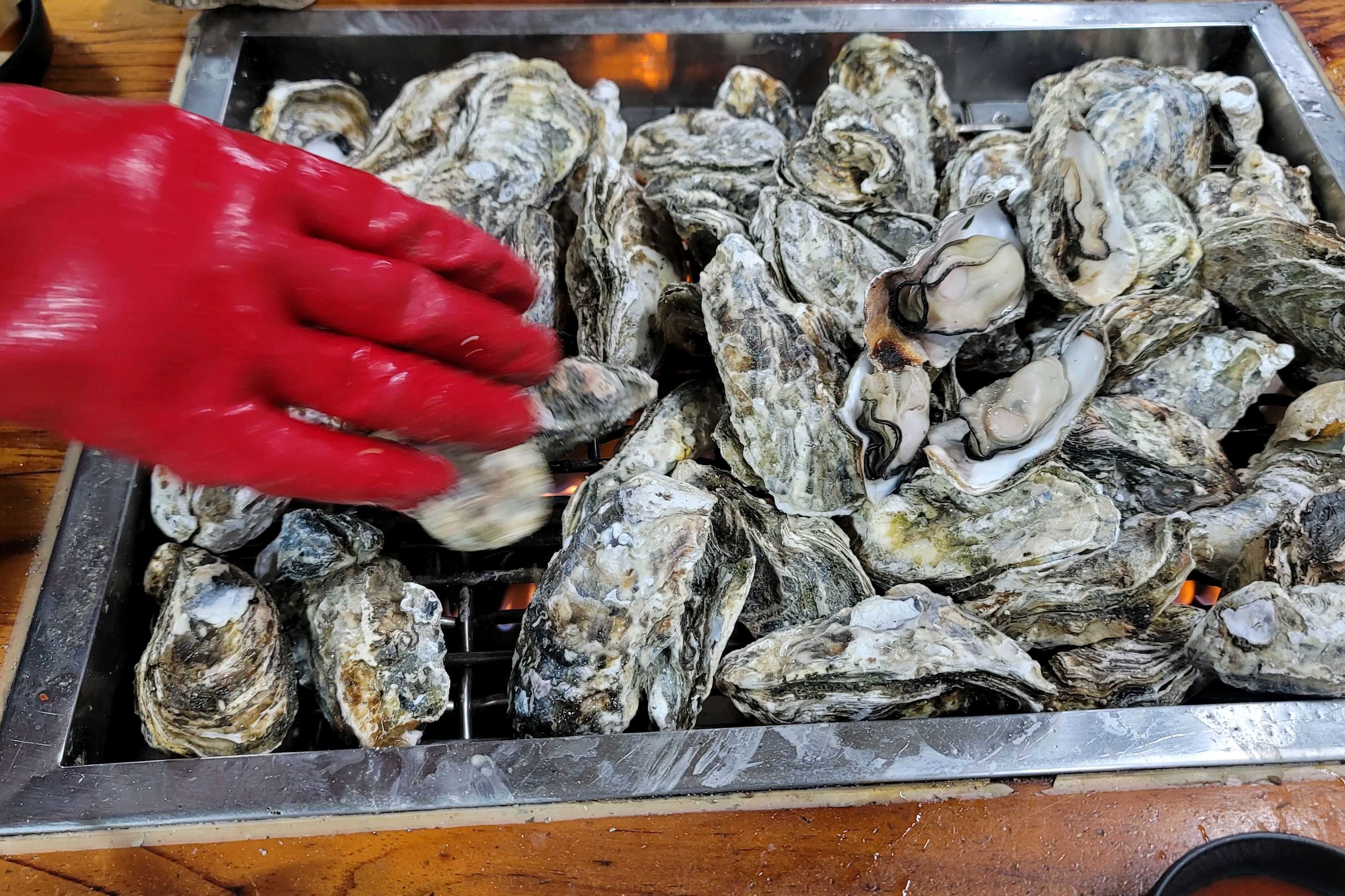[여수 맛집 원조굴구이] 직접 가본 로컬 리뷰
