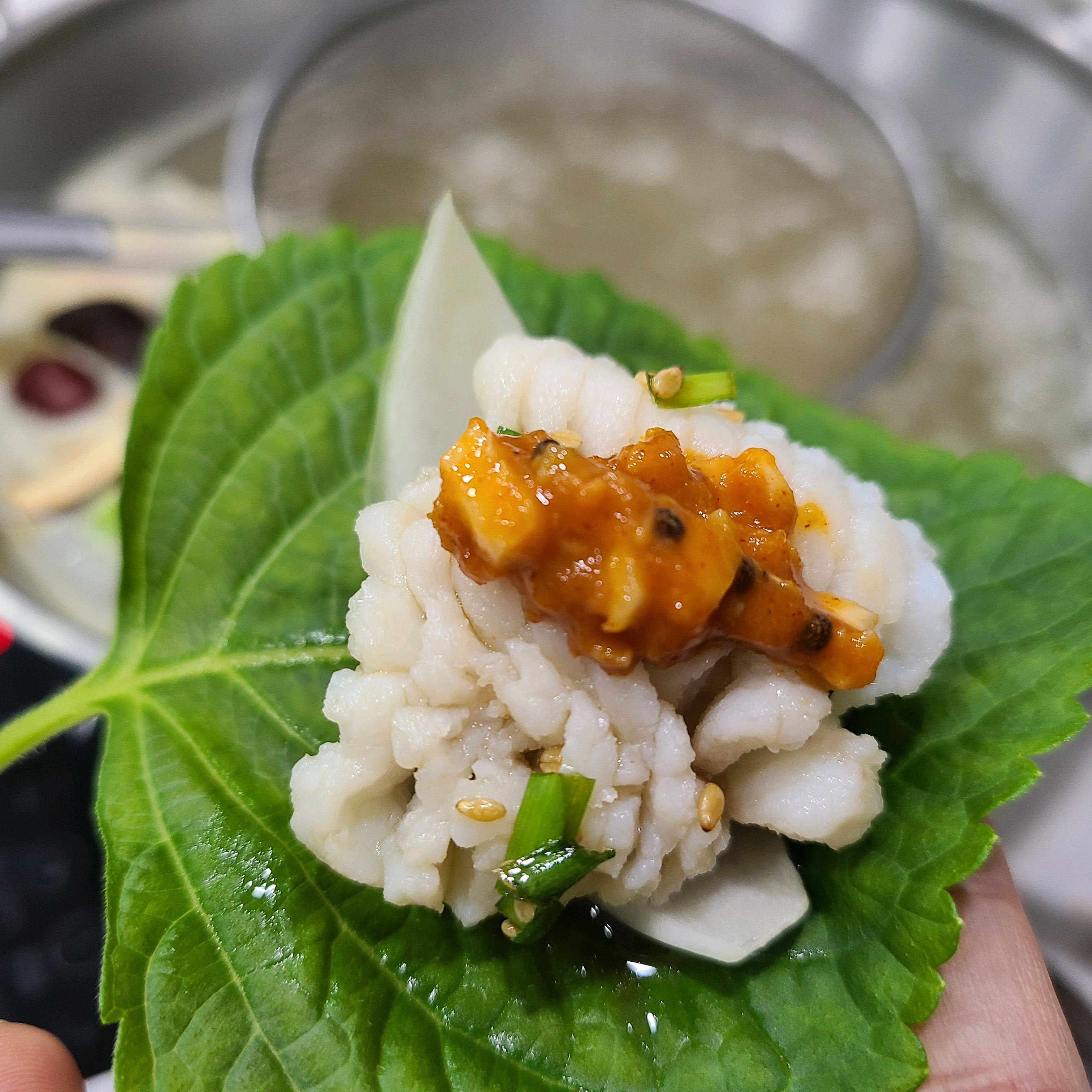 [여수 맛집 당머리첫집 하모샤브샤브] 직접 가본 로컬 리뷰