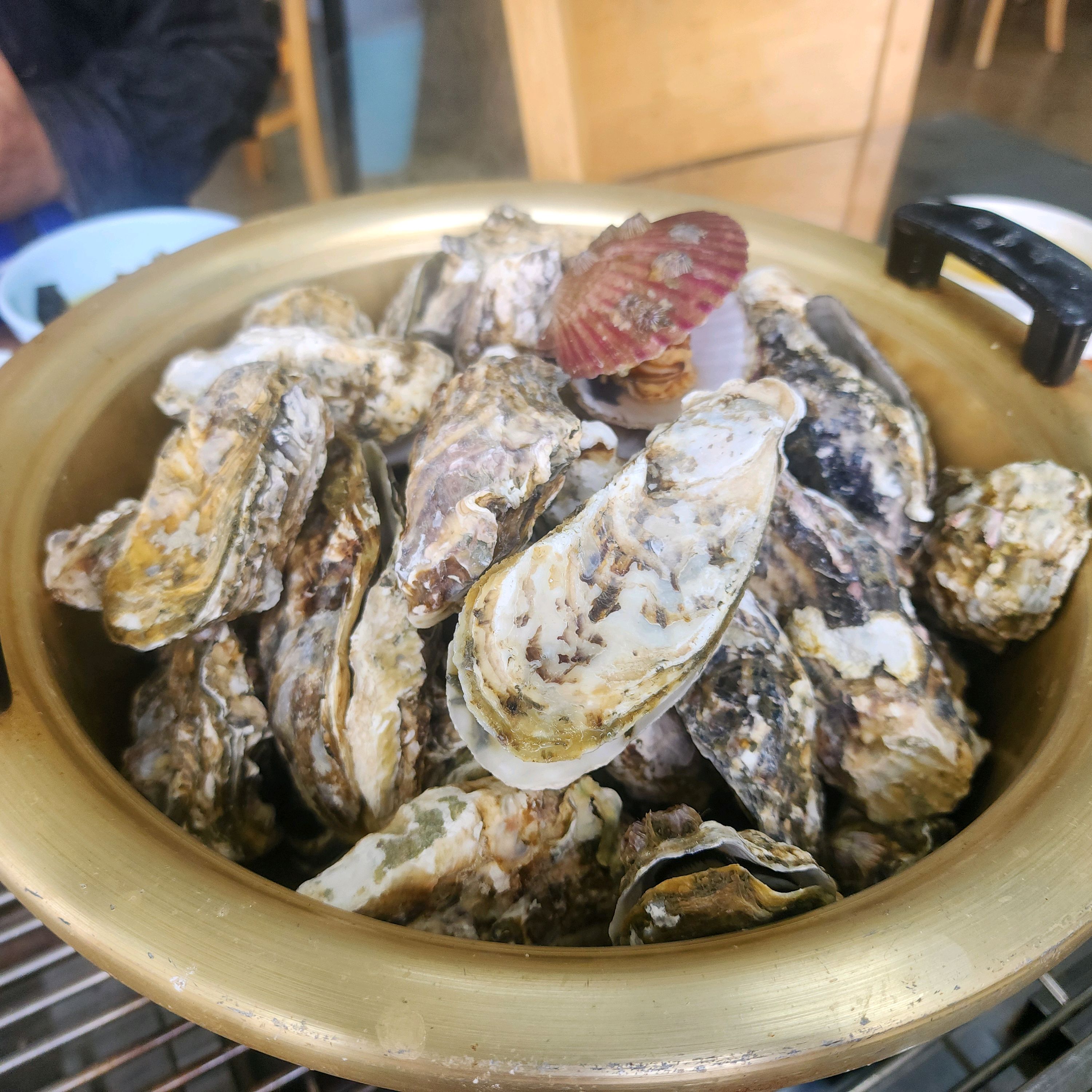 [여수 맛집 순애네 굴구이] 직접 가본 로컬 리뷰