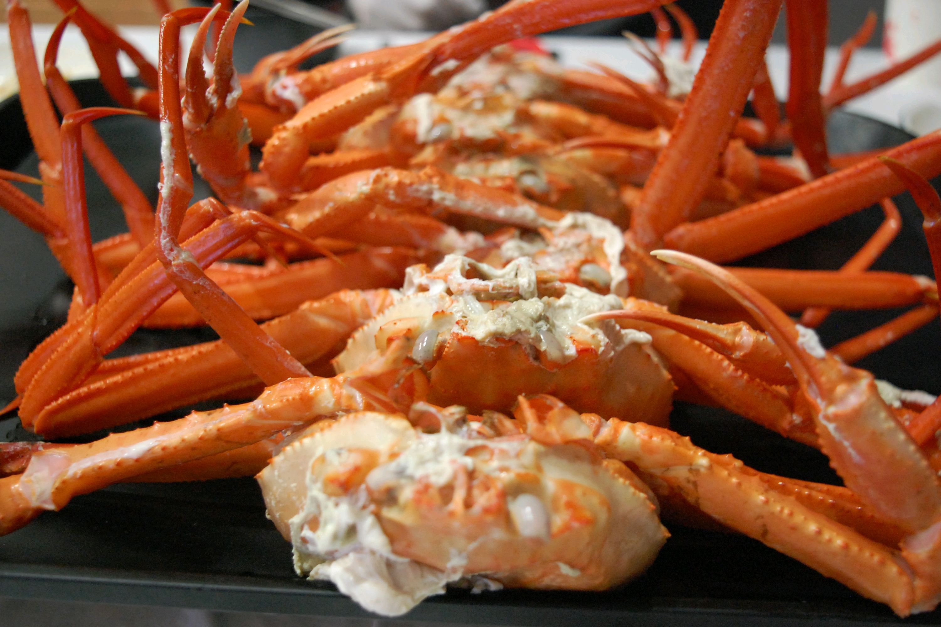 [강릉 맛집 강릉홍게무한리필 강릉교동택지점] 직접 가본 로컬 리뷰