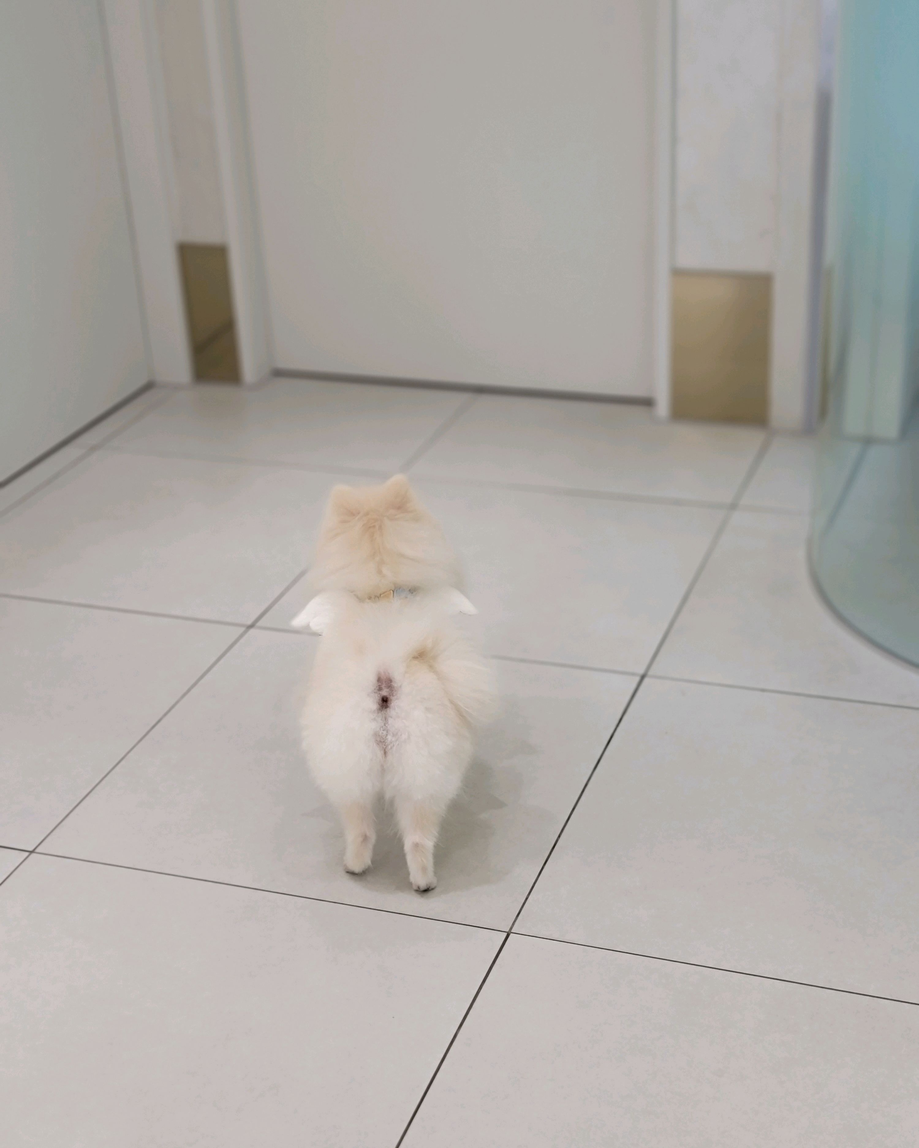 리뷰 사진 3