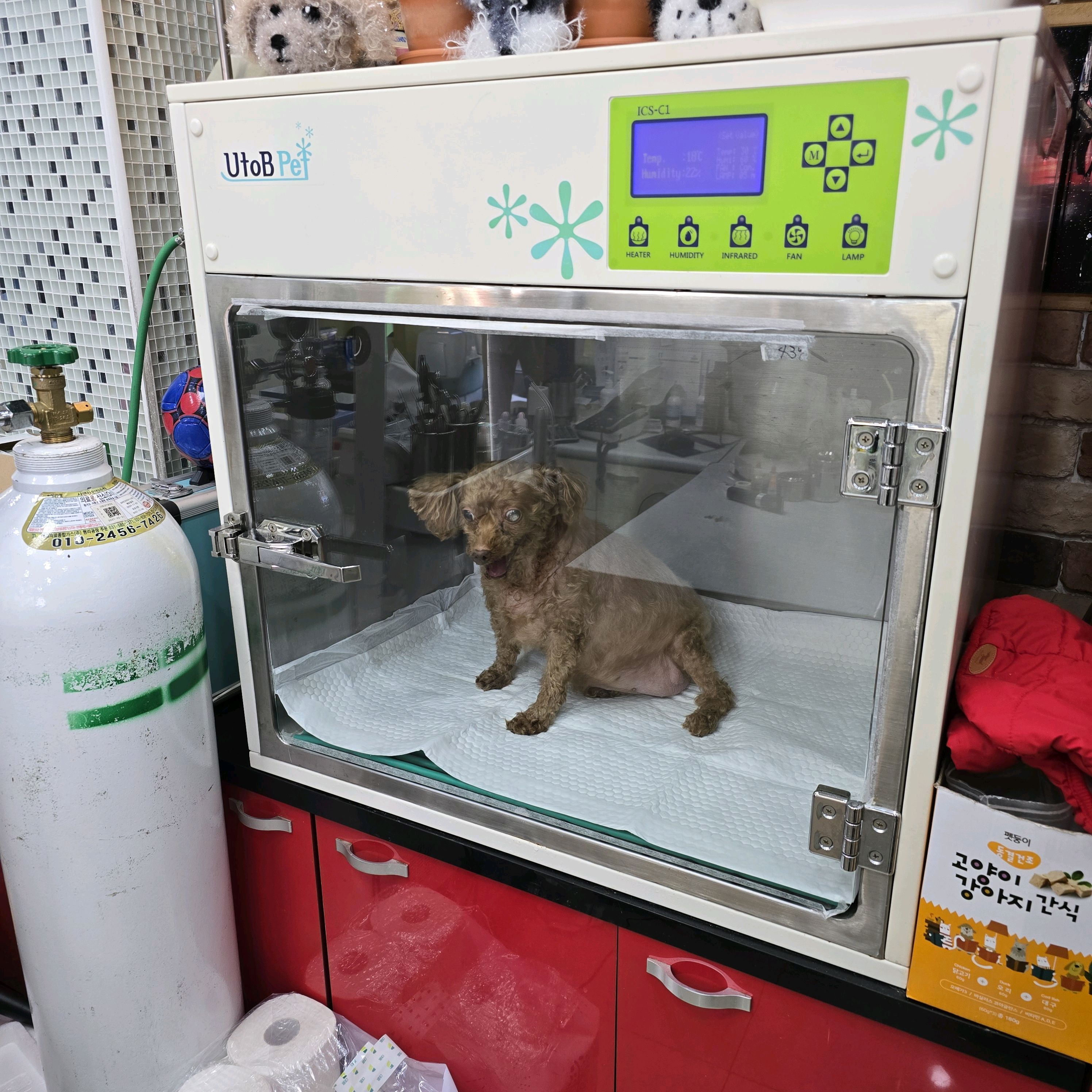 신창동물병원 사진 5