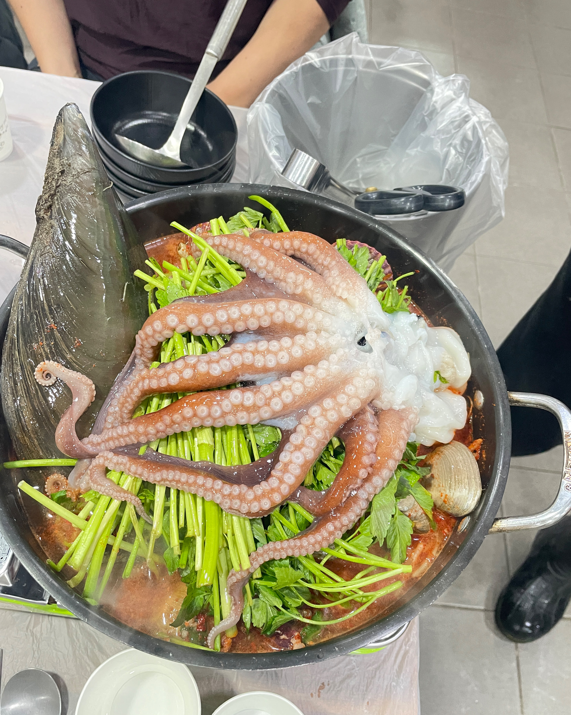 [삼척 맛집 대진식당] 직접 가본 로컬 리뷰