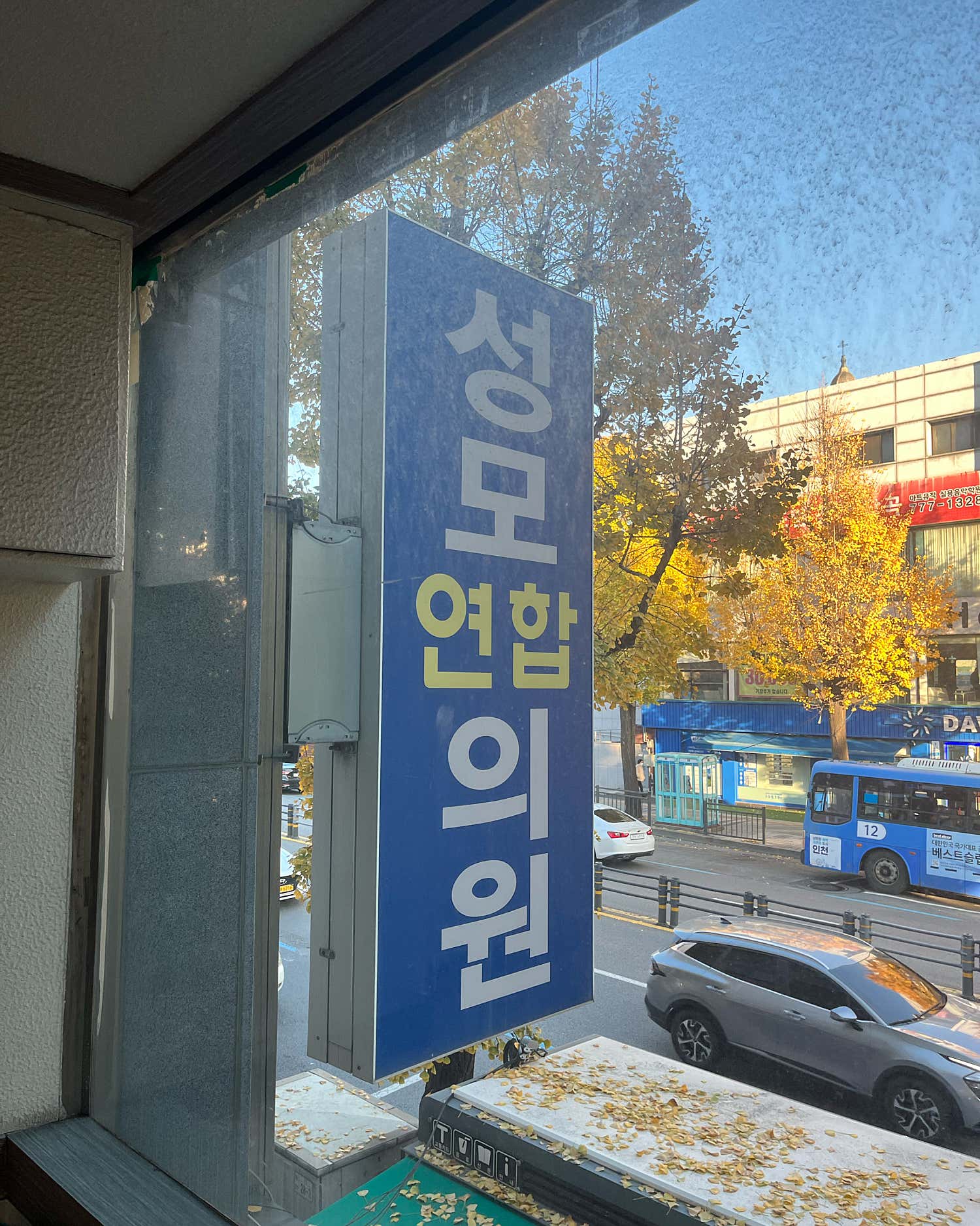 성모연합의원