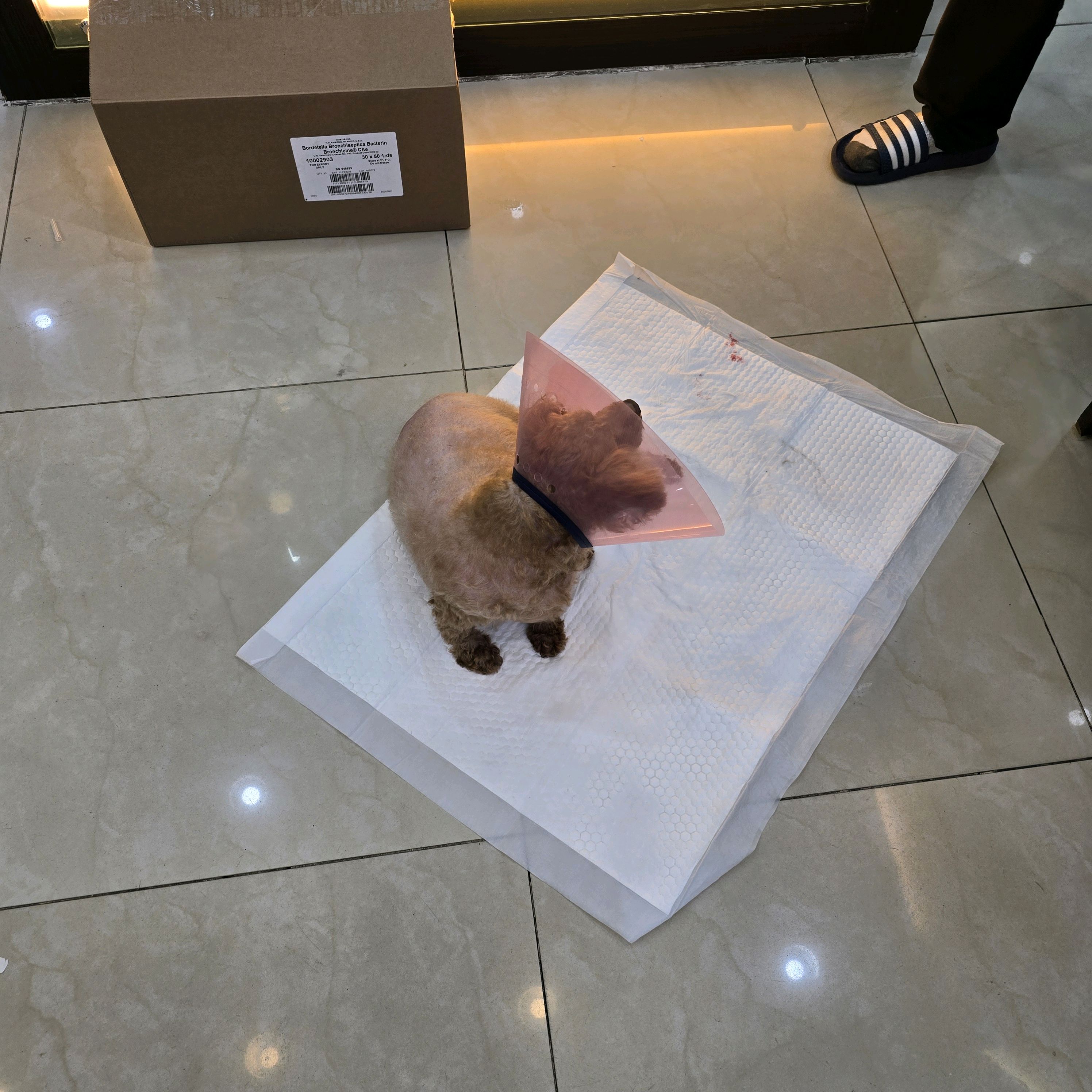 리뷰 사진 3