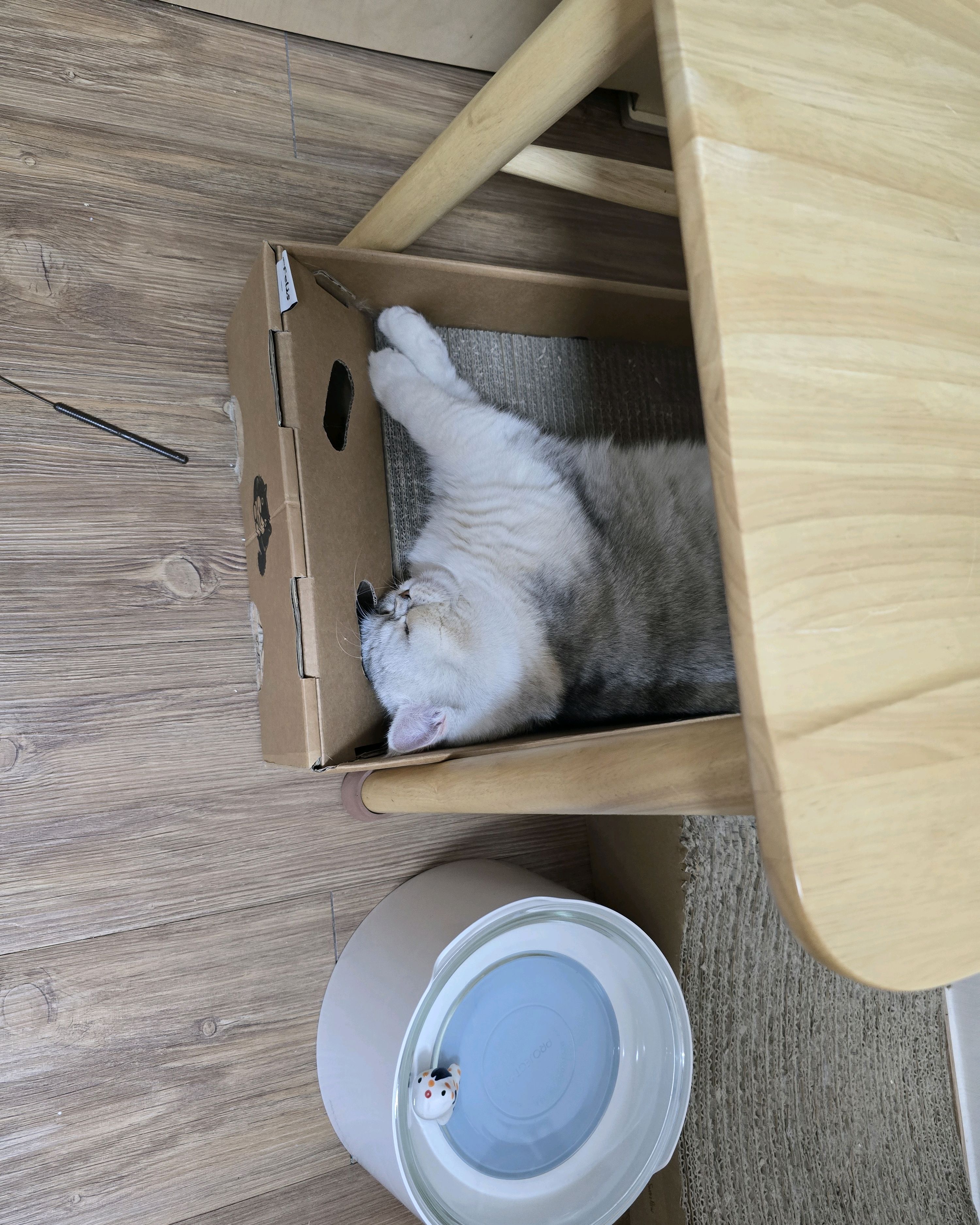 리뷰 사진 1