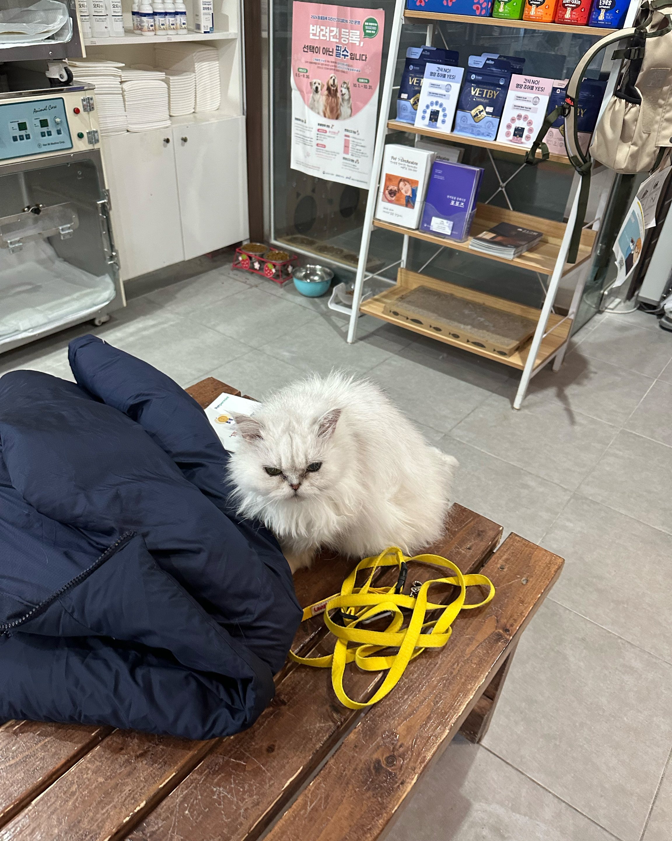리뷰 사진 3