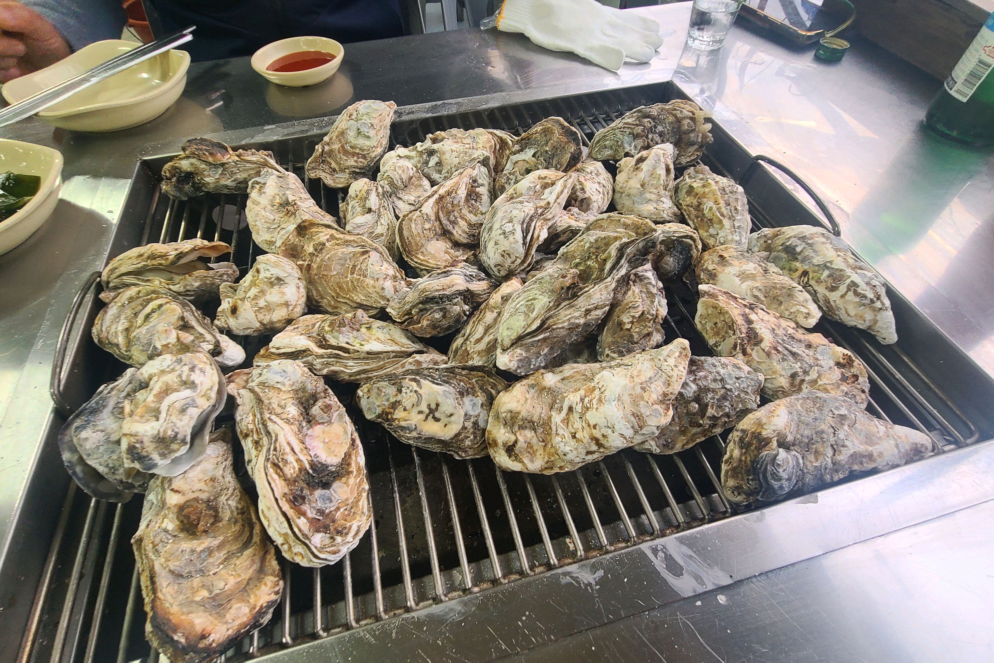 [여수 맛집 정우굴구이] 직접 가본 로컬 리뷰