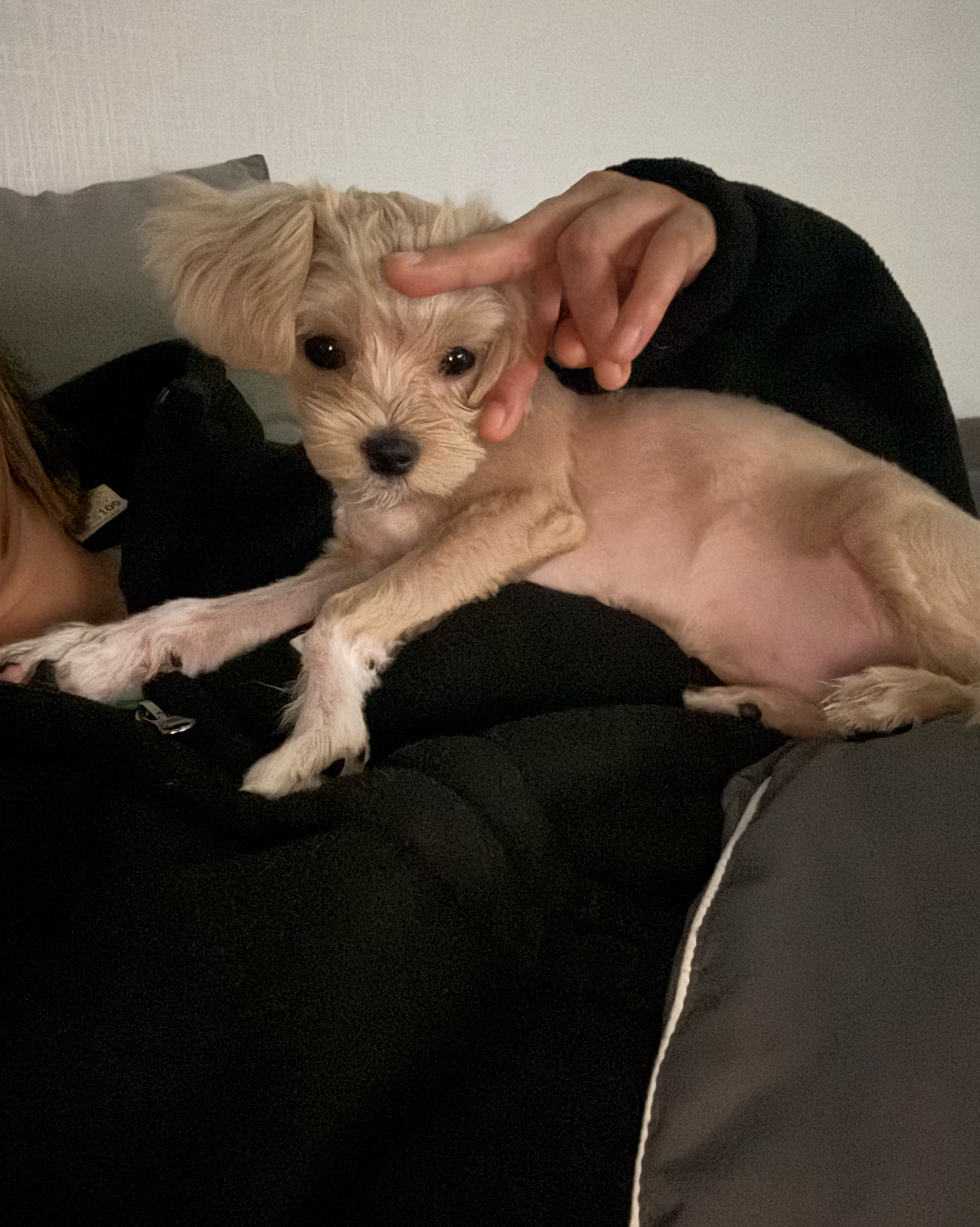 리뷰 사진 7