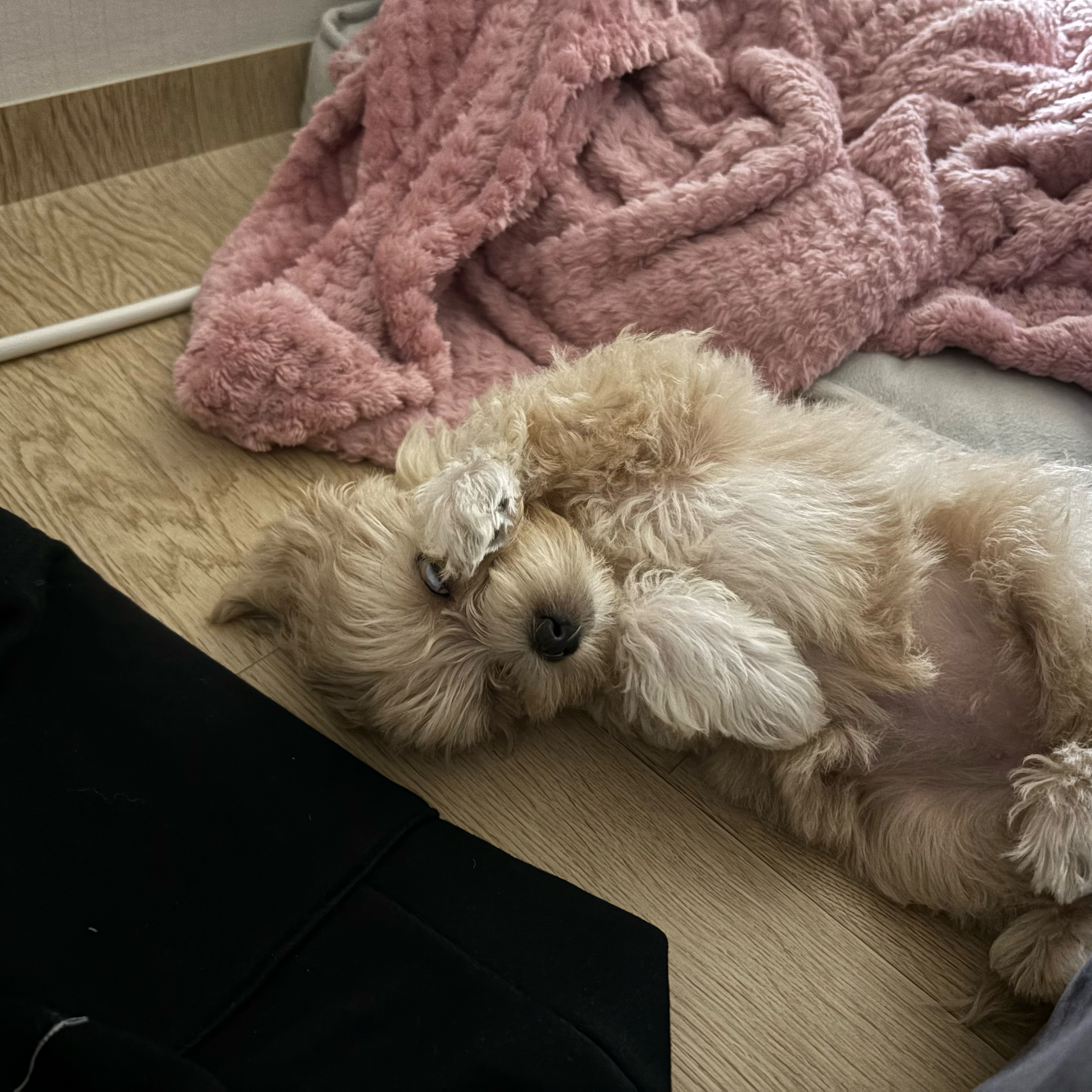 리뷰 사진 3