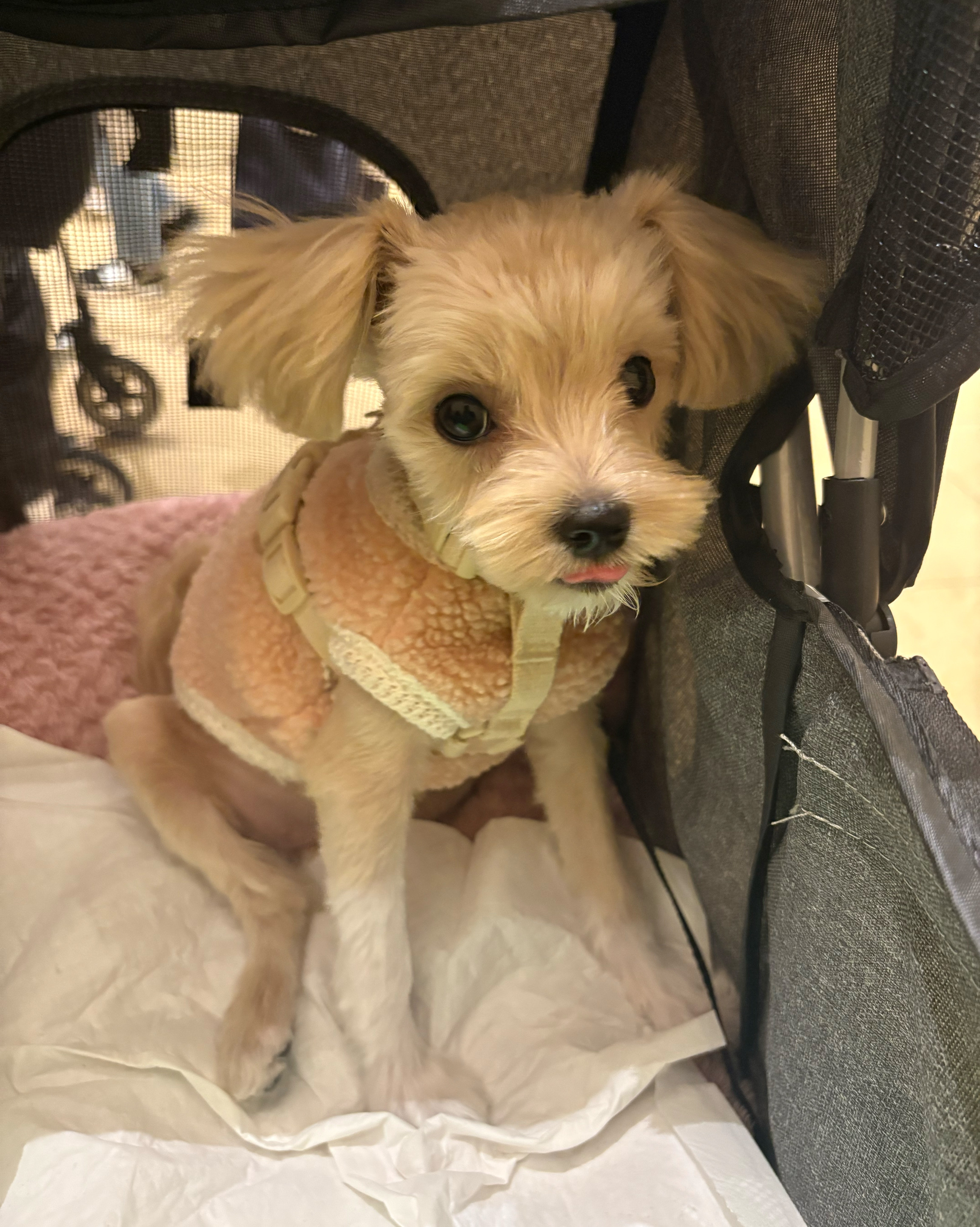 리뷰 사진 6