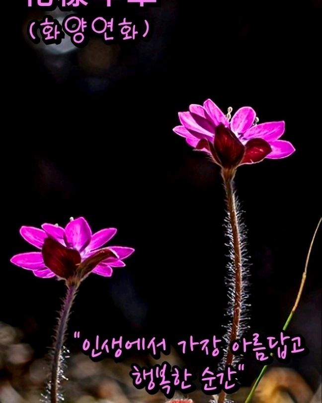 [김해 맛집 산골버섯] 직접 가본 로컬 리뷰