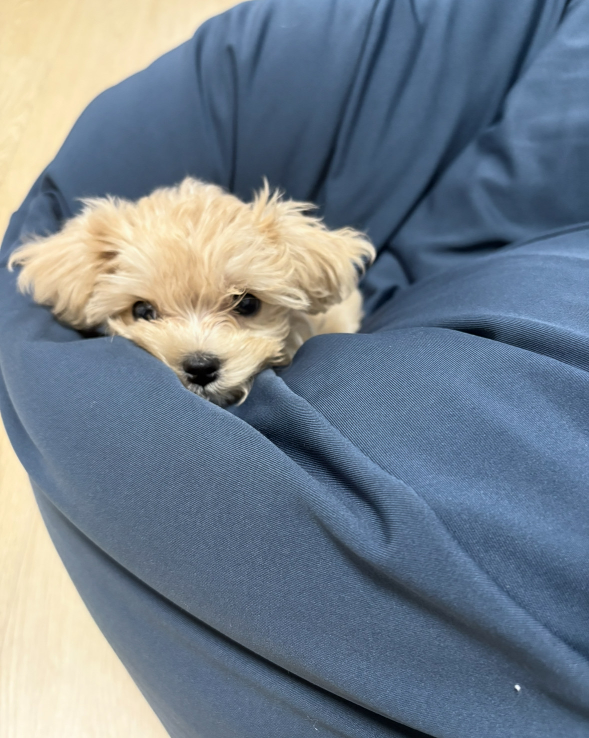 리뷰 사진 1