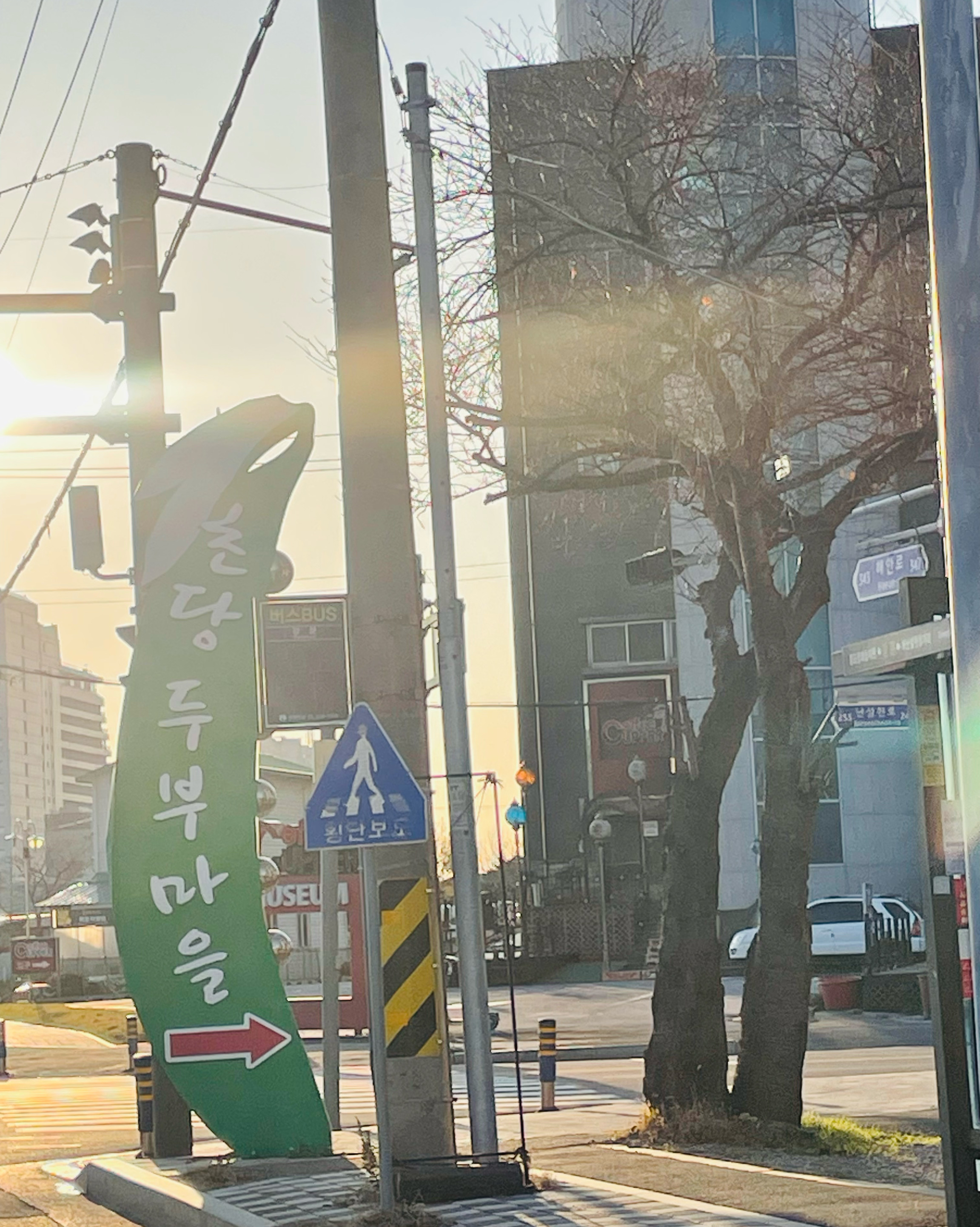 짬뽕 말고 하얀 초당순두부 먹고 싶어서 - 경포대 맛집 원조초당순두부