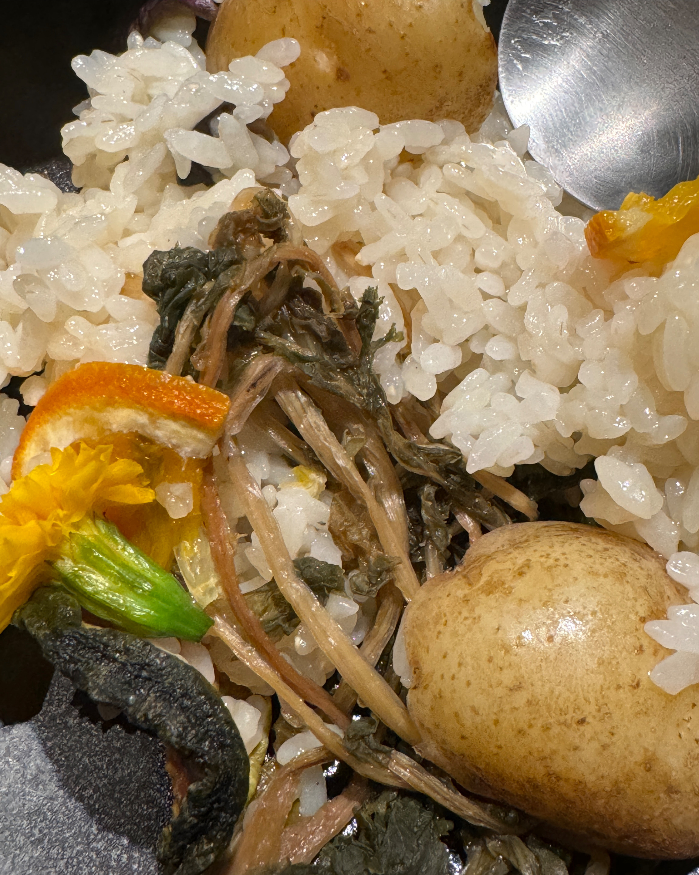[경리단길 맛집 나무솥밥 경리단] 직접 가본 로컬 리뷰