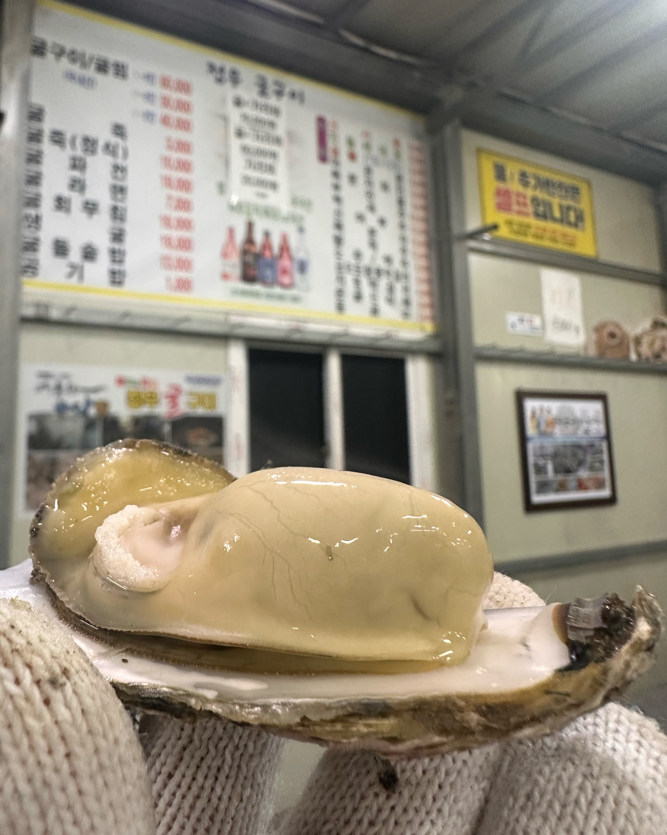 [여수 맛집 정우굴구이] 직접 가본 로컬 리뷰