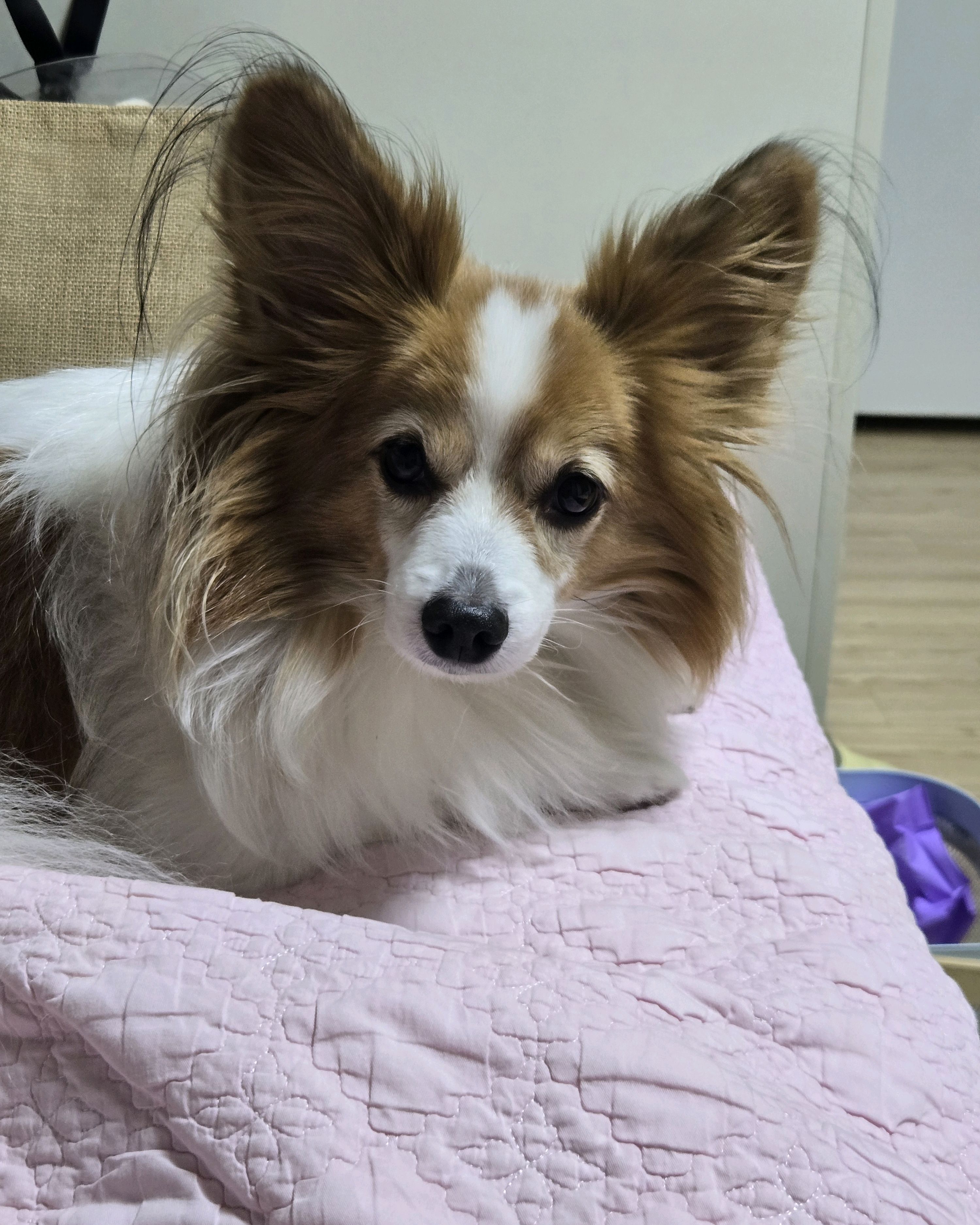 리뷰 사진 1