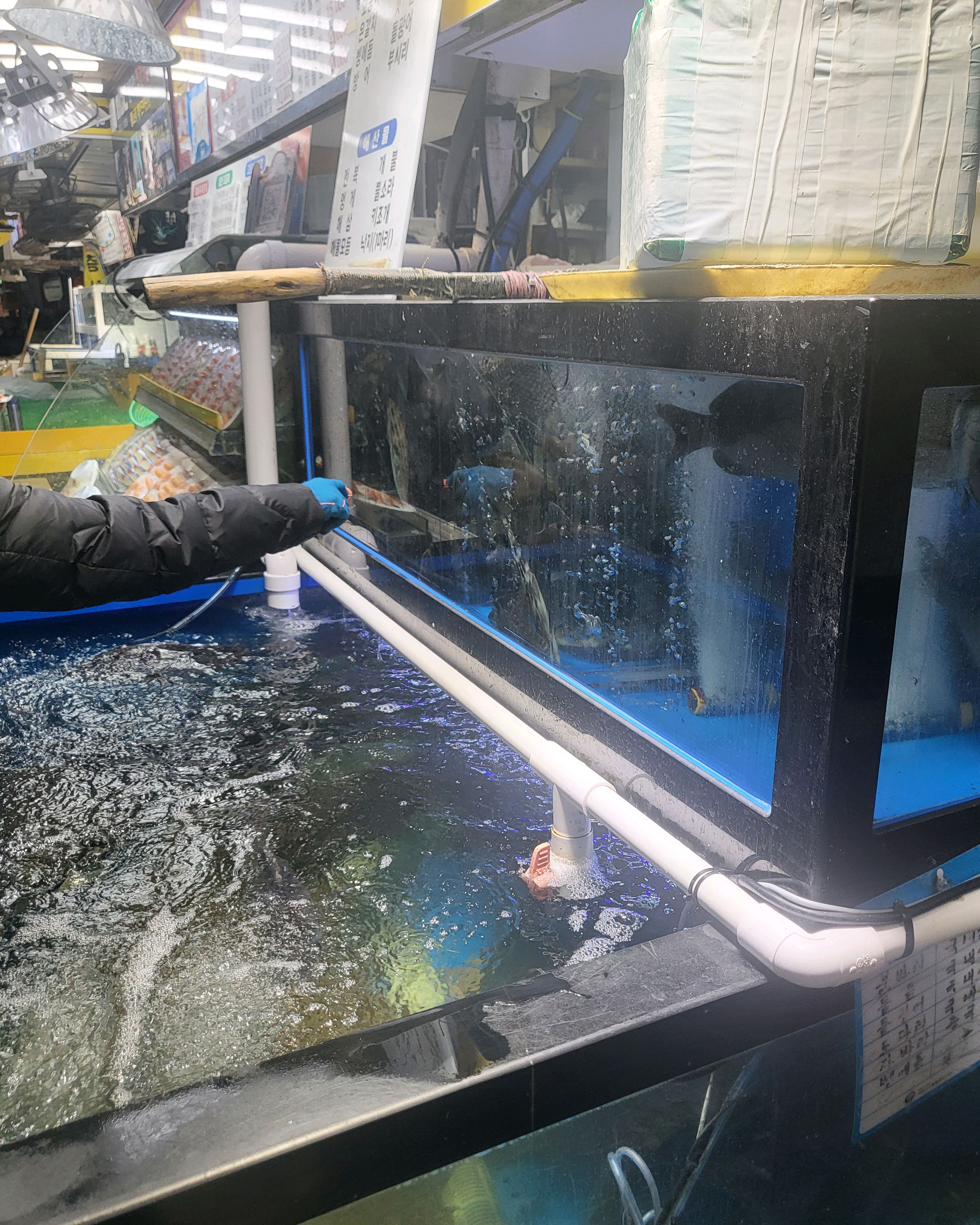  제주시 해산물 시장 식당 동문올레수산 동문시장 본점