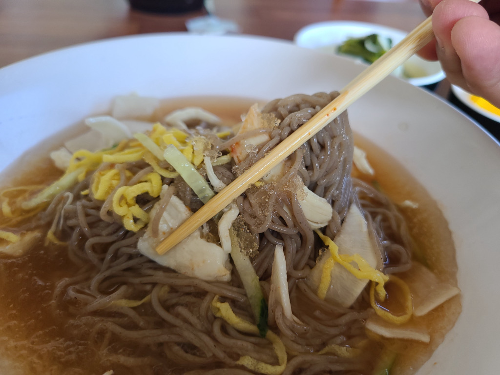 [여수 맛집 메밀빛 초계국수막국수양평해장국 돌산본점] 직접 가본 로컬 리뷰