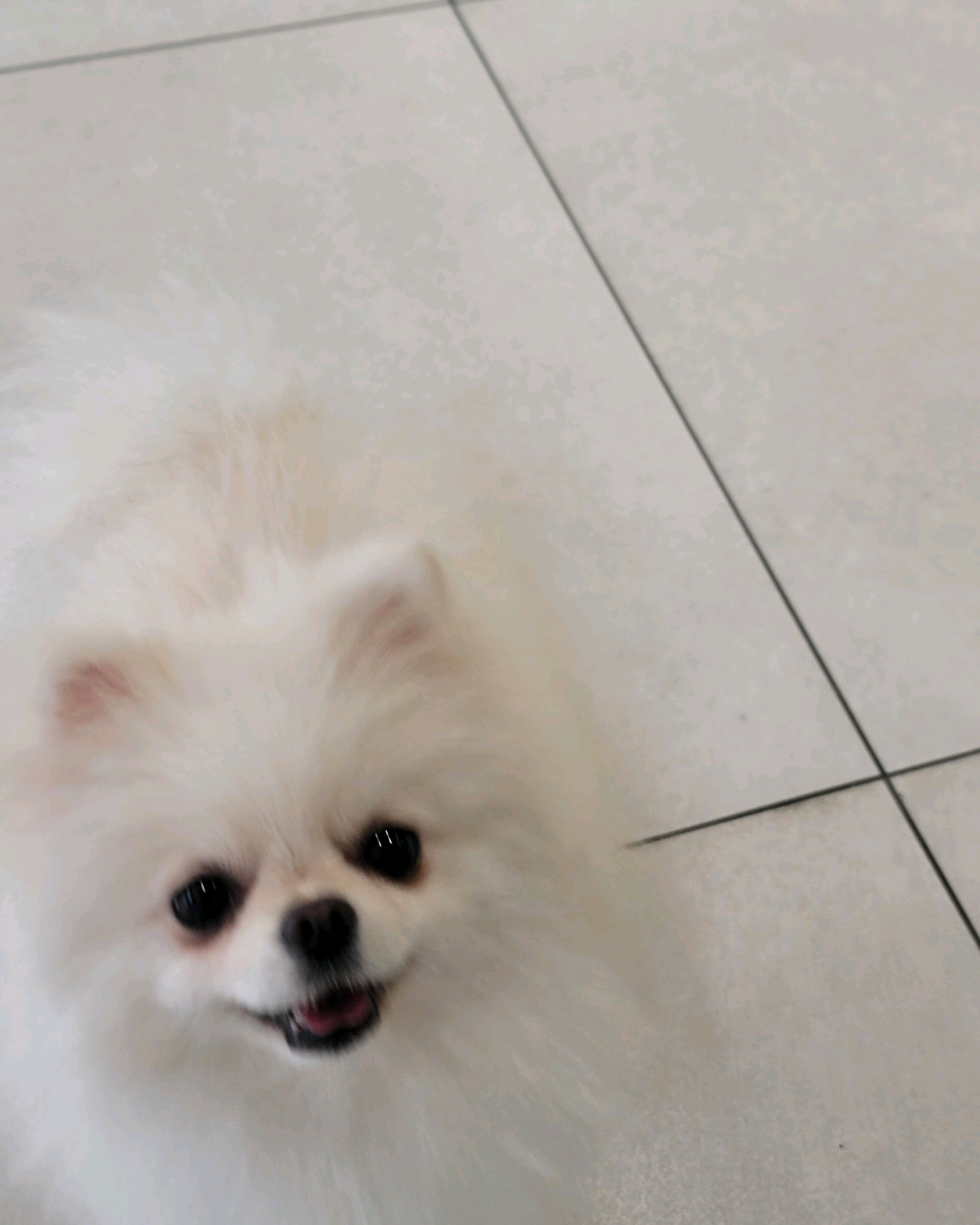리뷰 사진 1