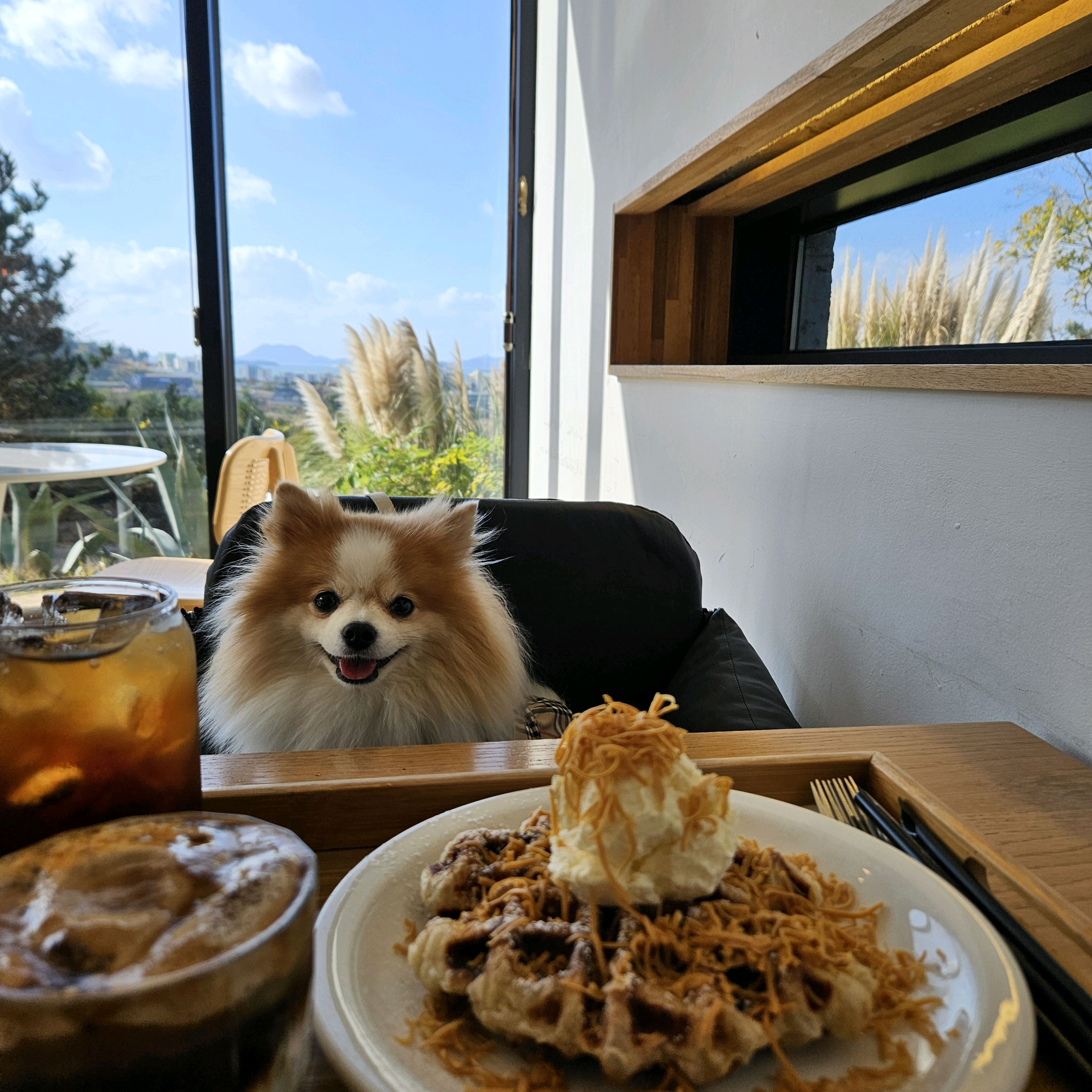 [여수 맛집 피읖카페] 직접 가본 로컬 리뷰