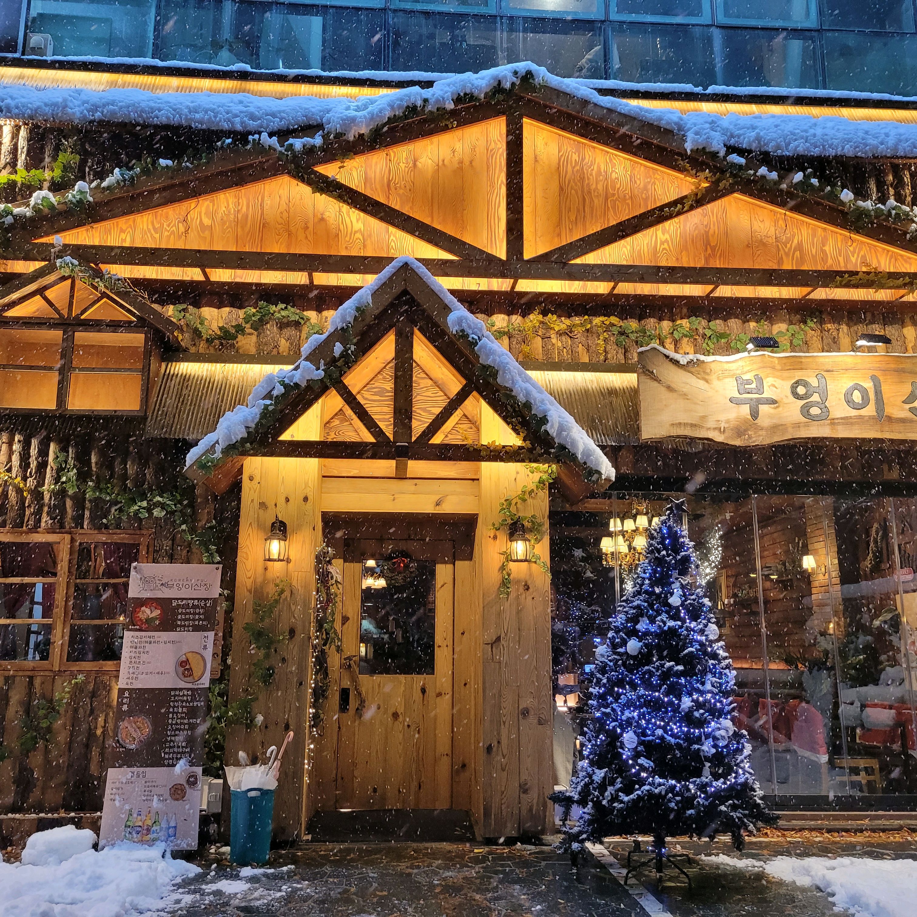 정자역 맛집 부엉이산장 정자점 내돈내산 찐리뷰