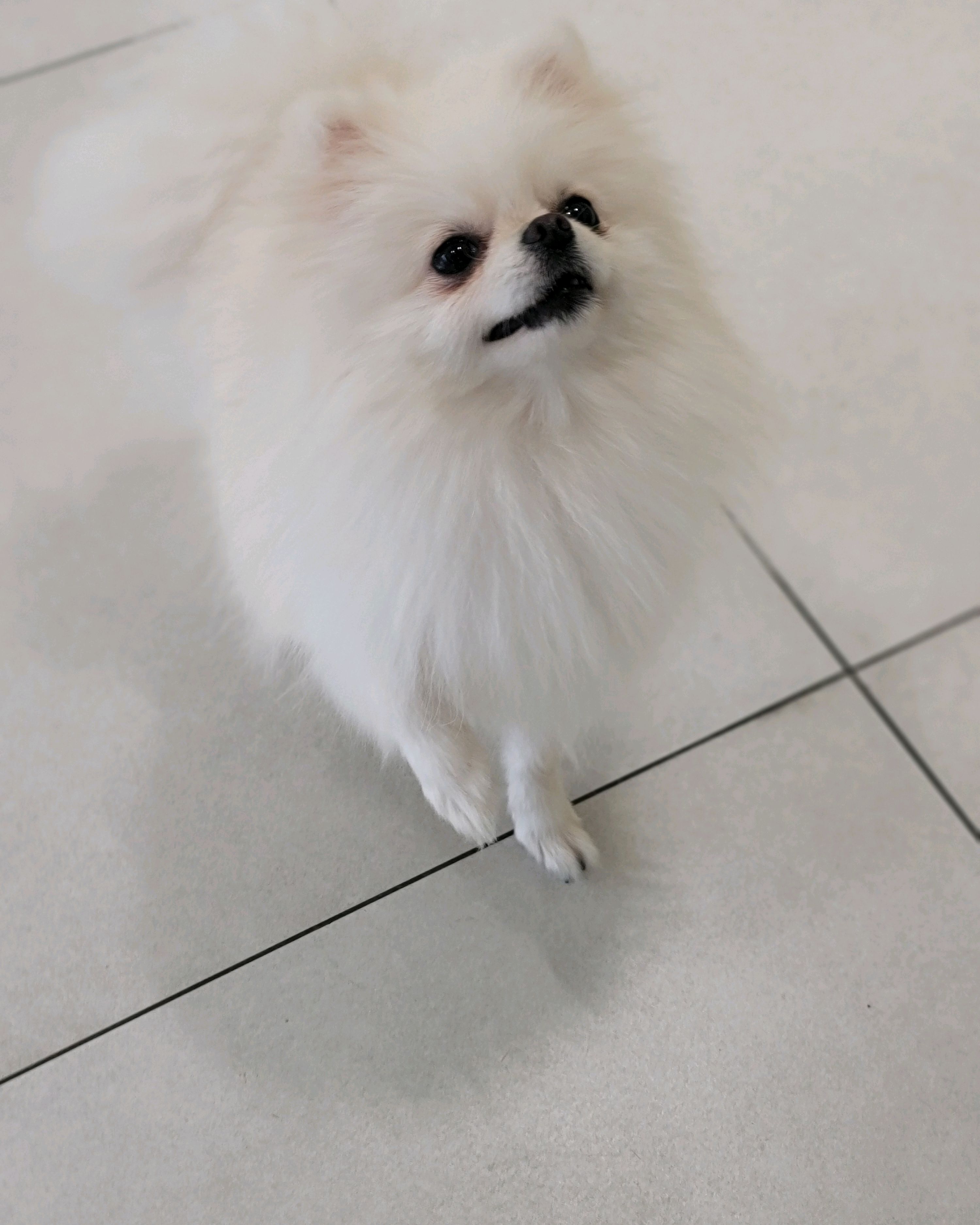 리뷰 사진 2