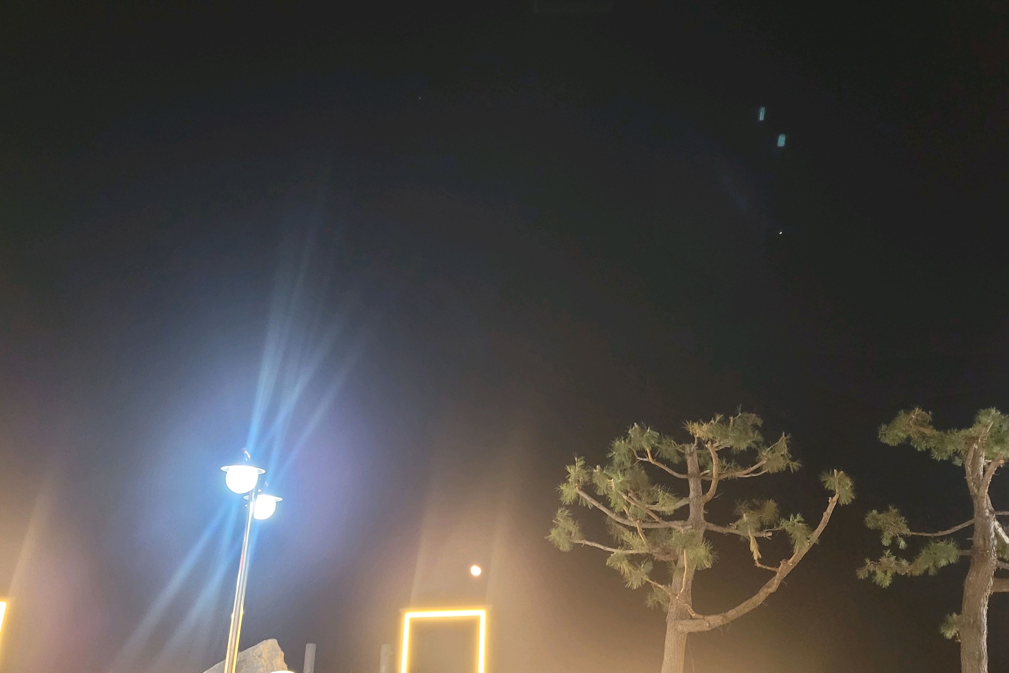 [동해 맛집 할리스 동해묵호점] 직접 가본 로컬 리뷰