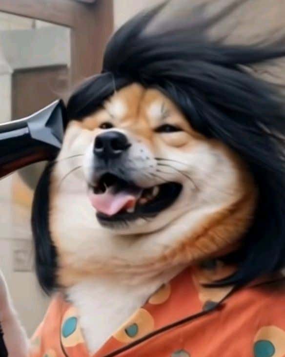 서울정형외과의원