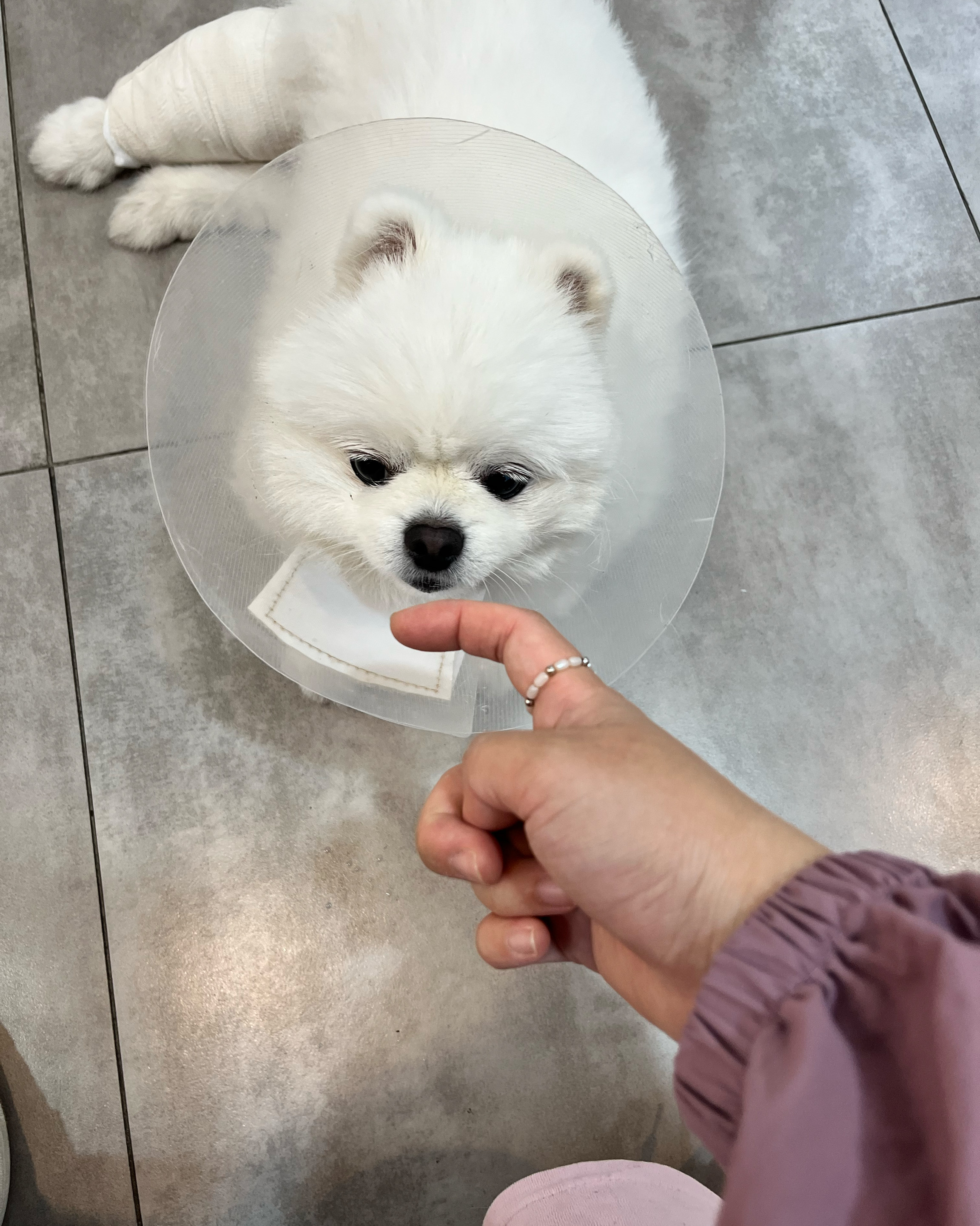 리뷰 사진 1