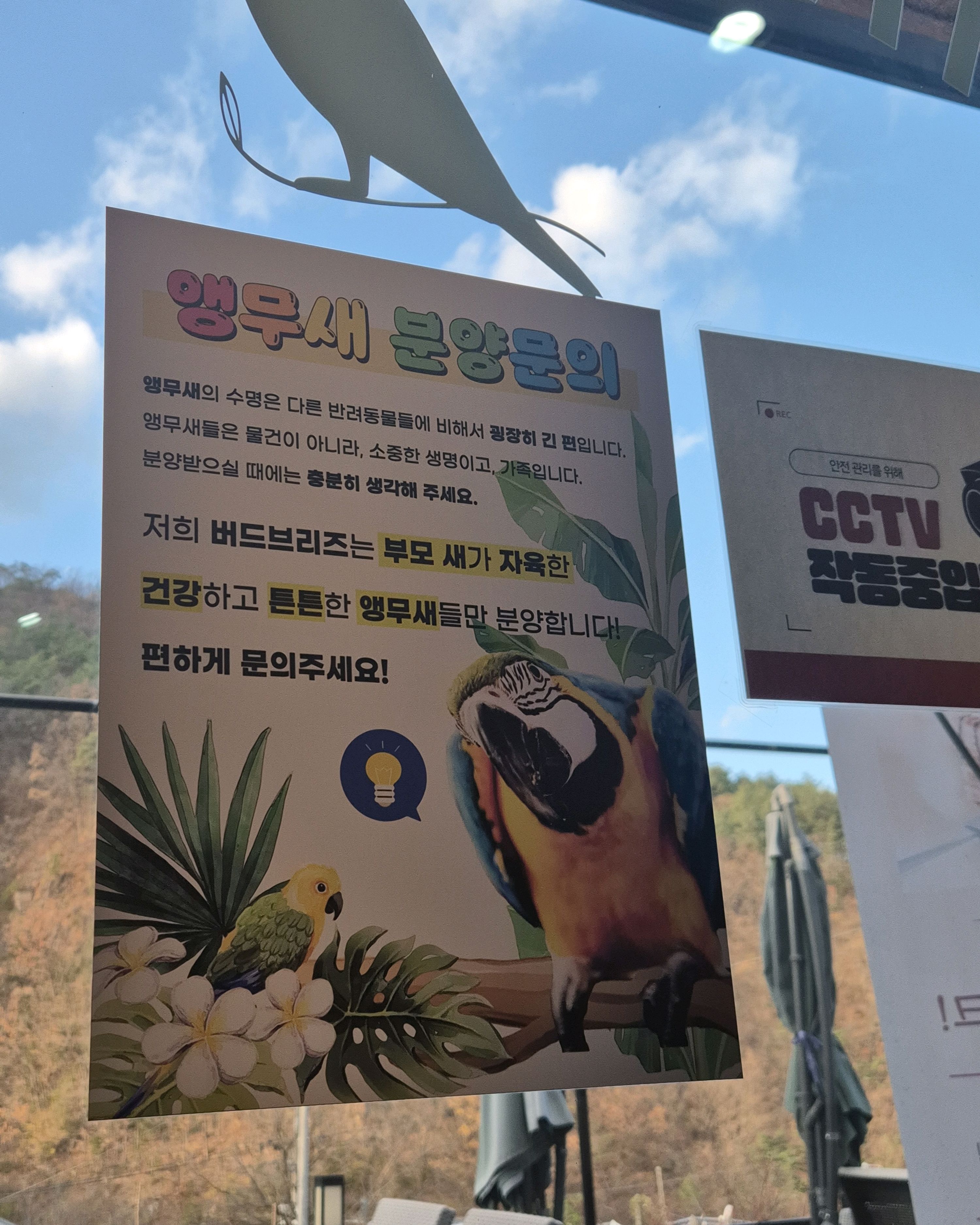 [삼척 맛집 버드브리즈] 직접 가본 로컬 리뷰
