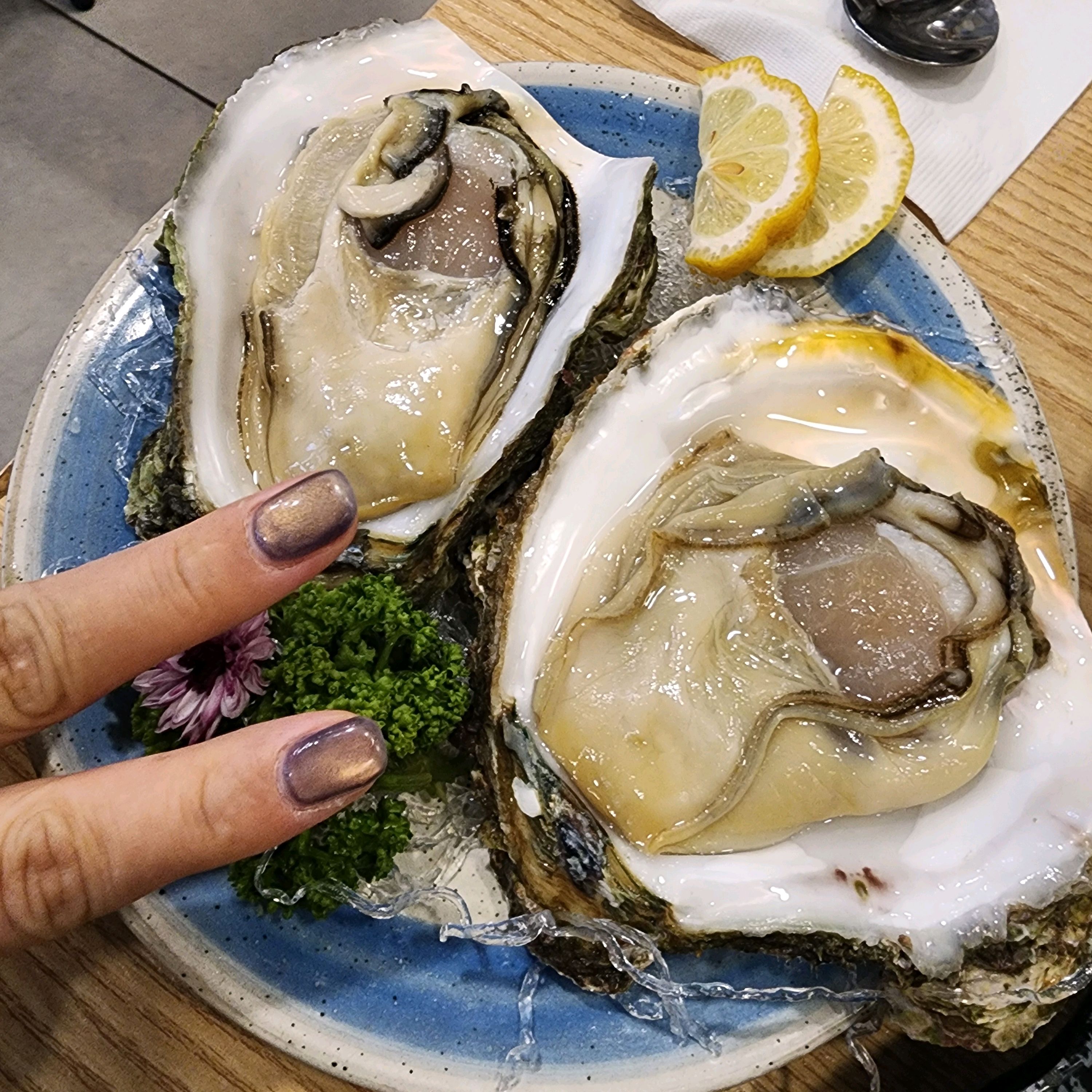 미금역 맛집 울진죽변항 내돈내산 방문리뷰