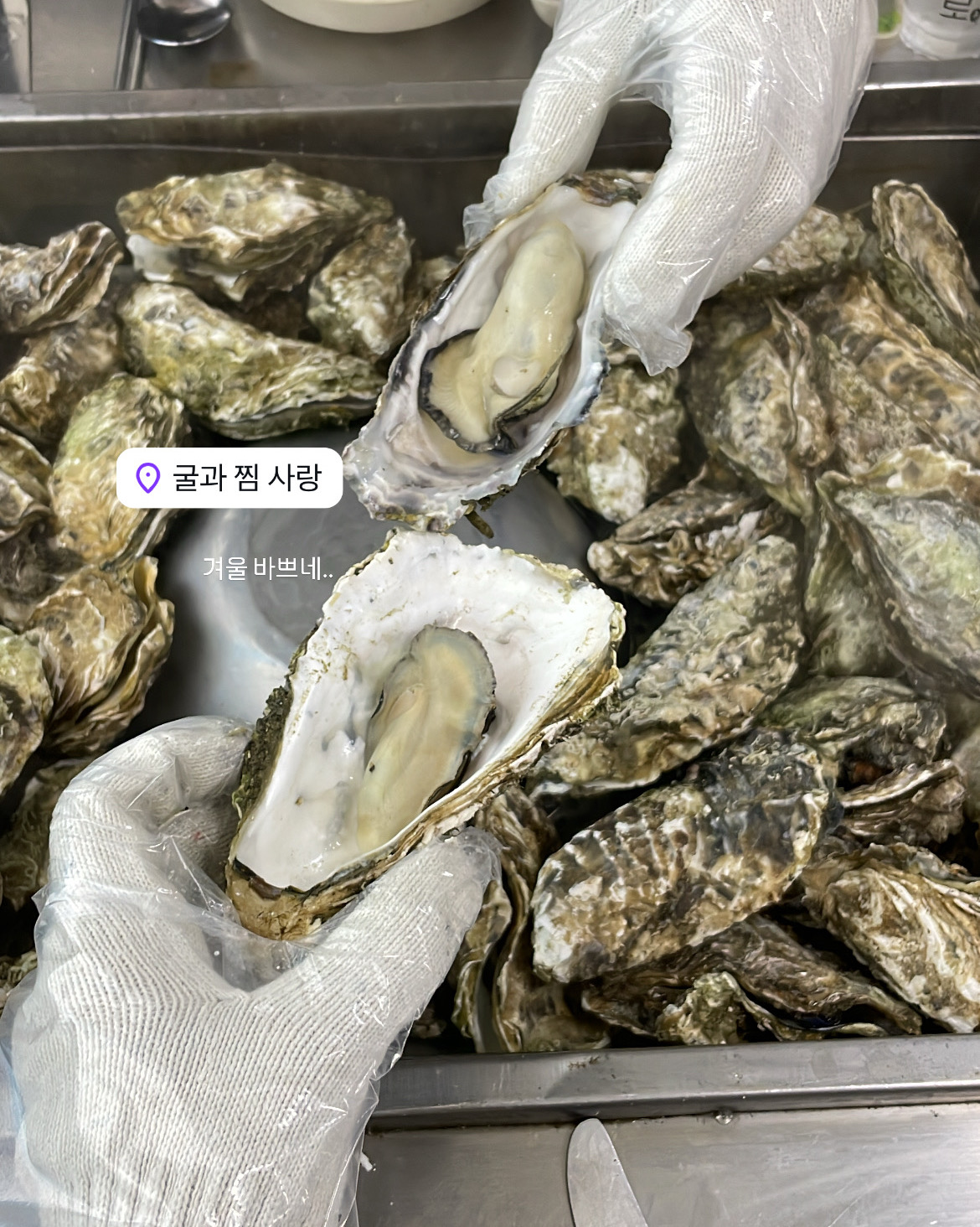 왕십리역 맛집 굴과찜사랑 본점