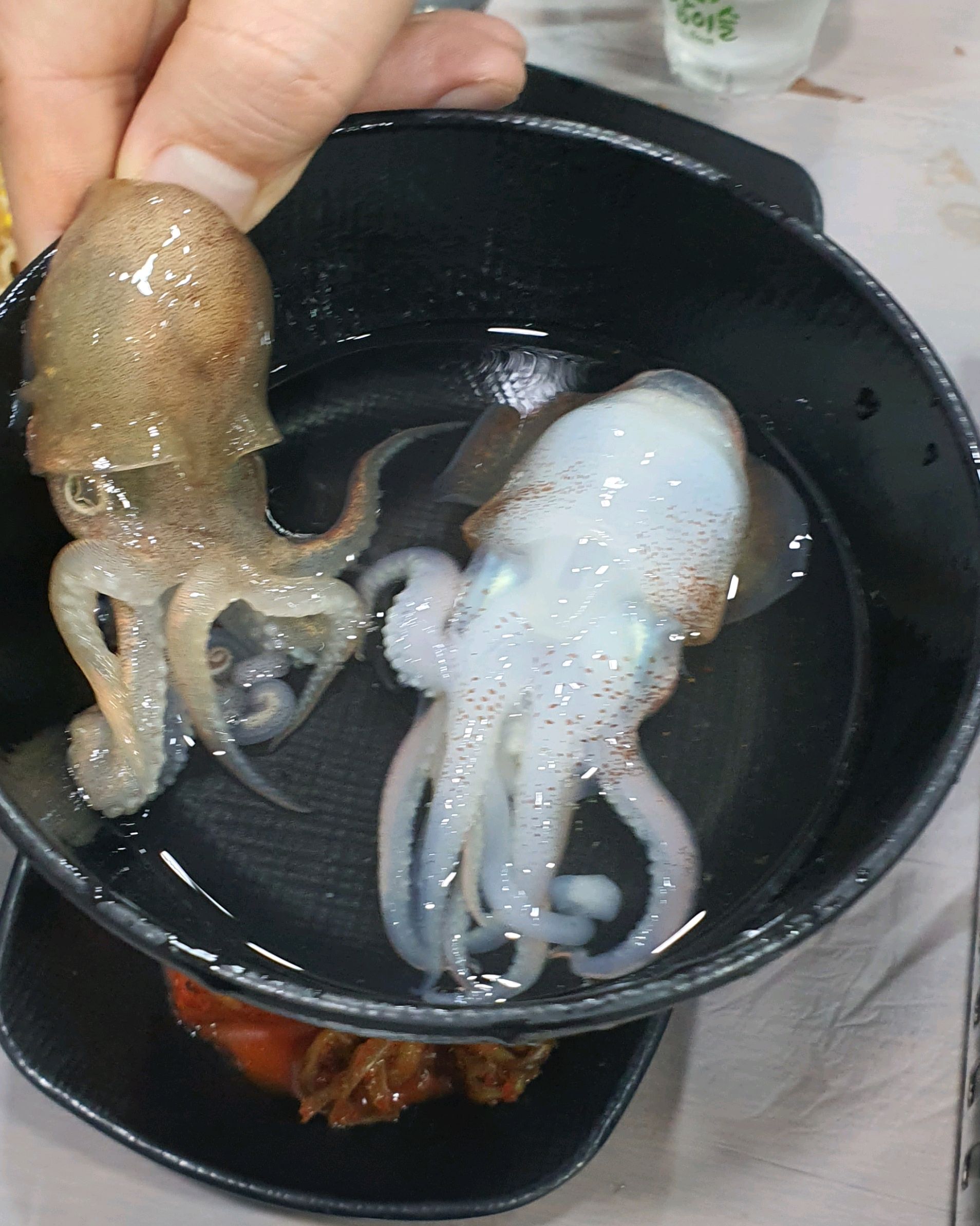 [삼척 맛집 대진식당] 직접 가본 로컬 리뷰
