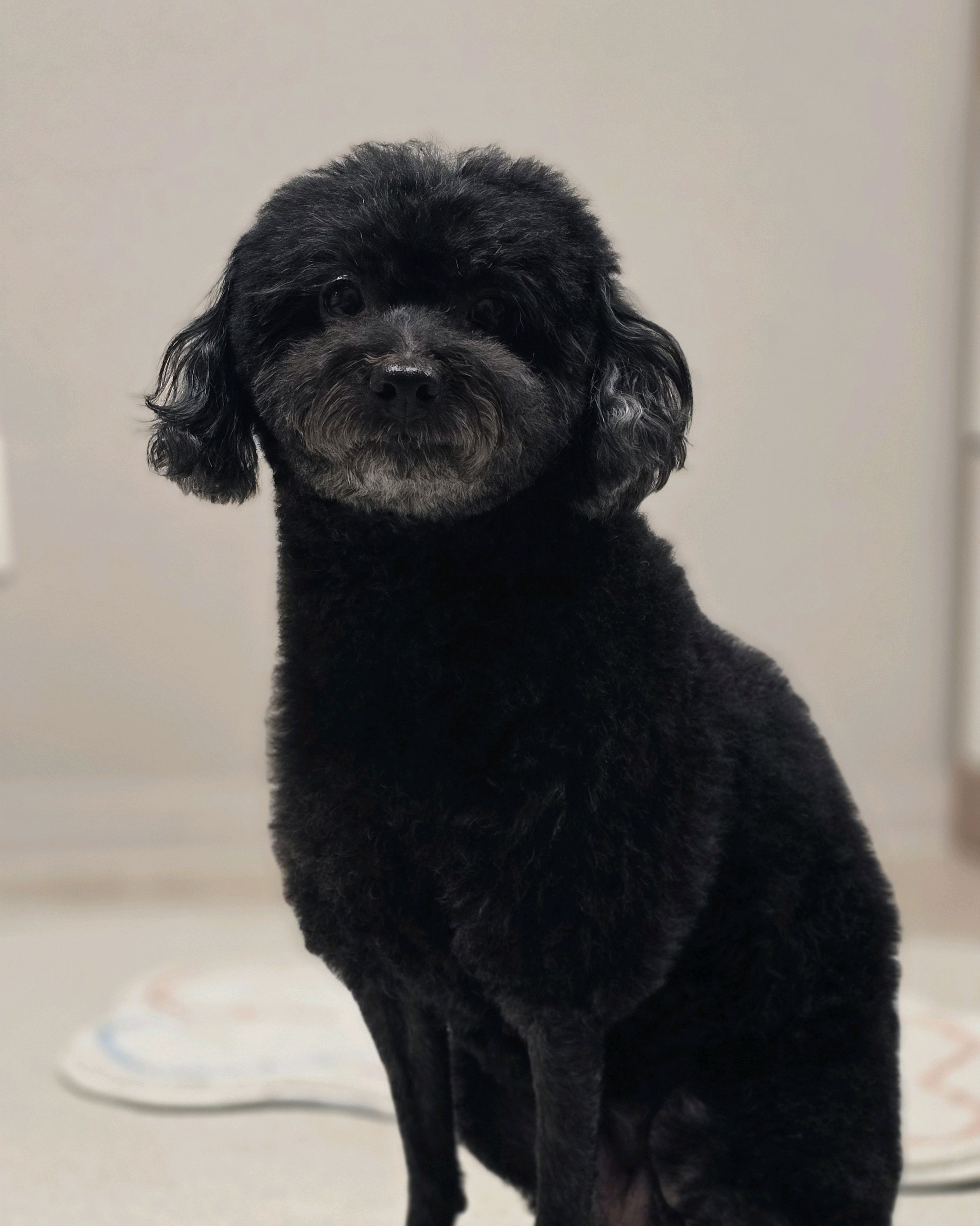 리뷰 사진 2