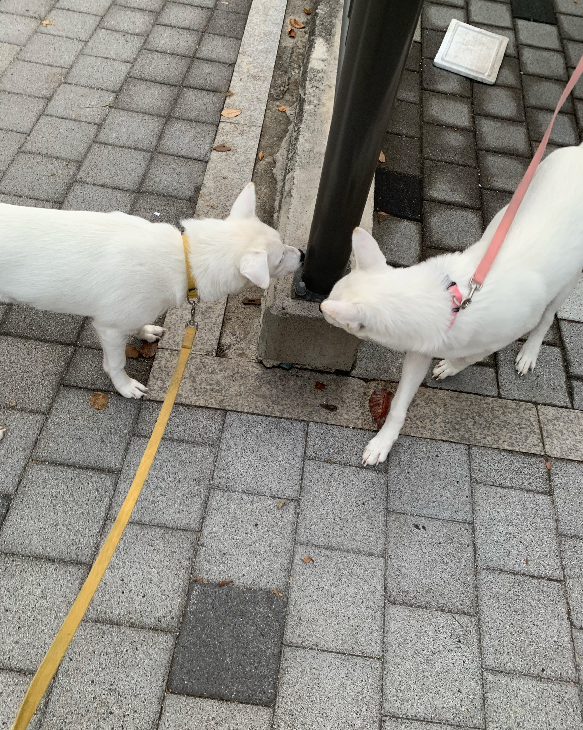 리뷰 사진 1